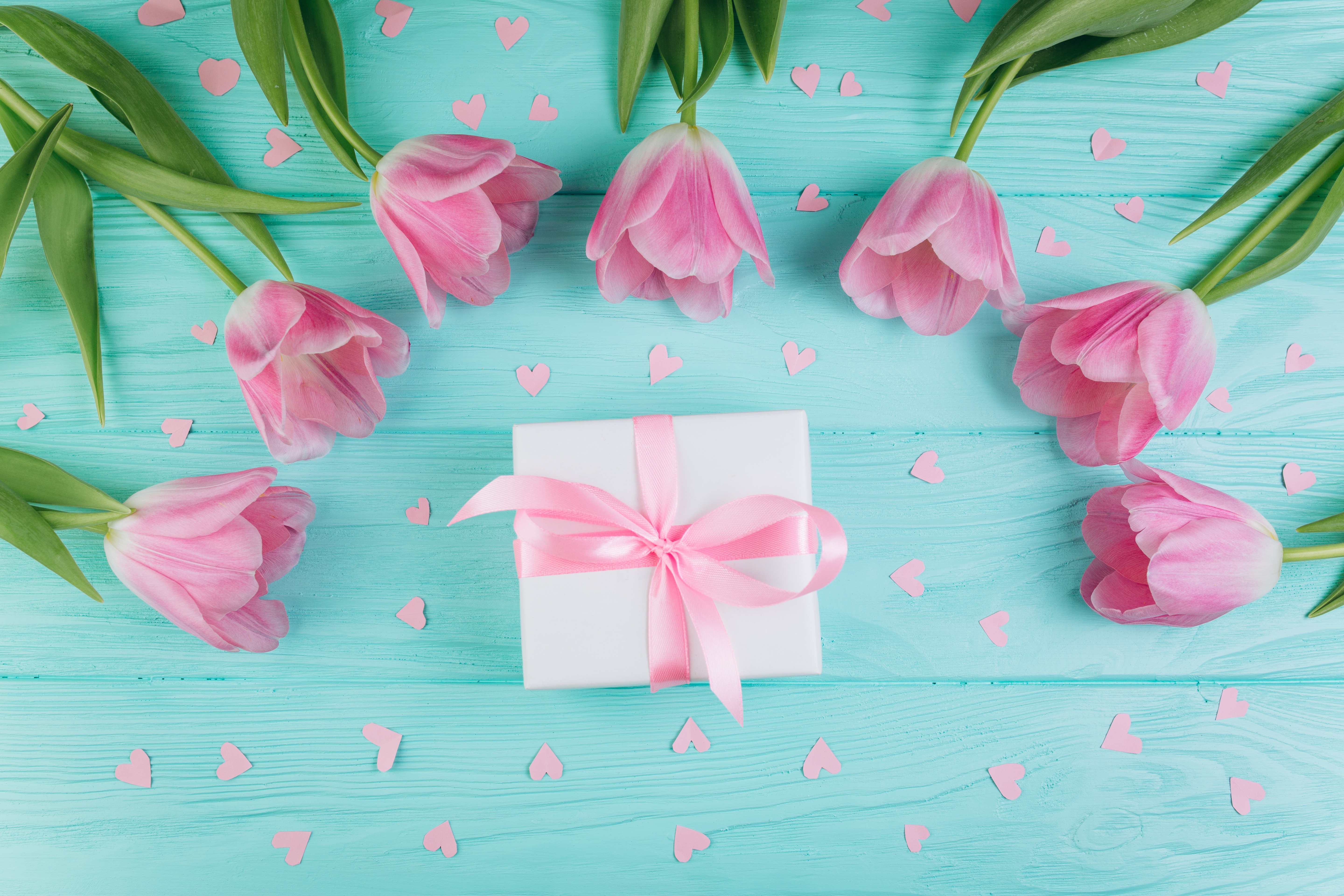 Download mobile wallpaper Still Life, Flower, Gift, Tulip, Misc, Pink Flower for free.