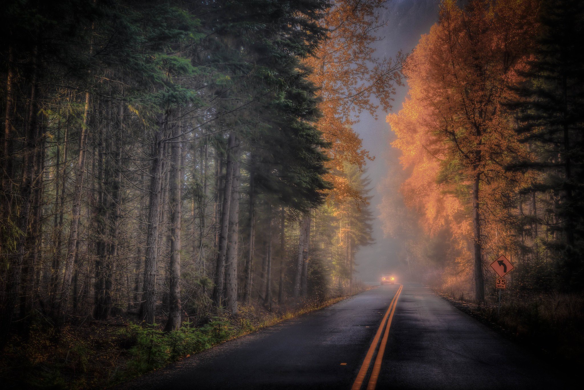 Téléchargez des papiers peints mobile Automne, Route, Forêt, Brouillard, Construction Humaine gratuitement.