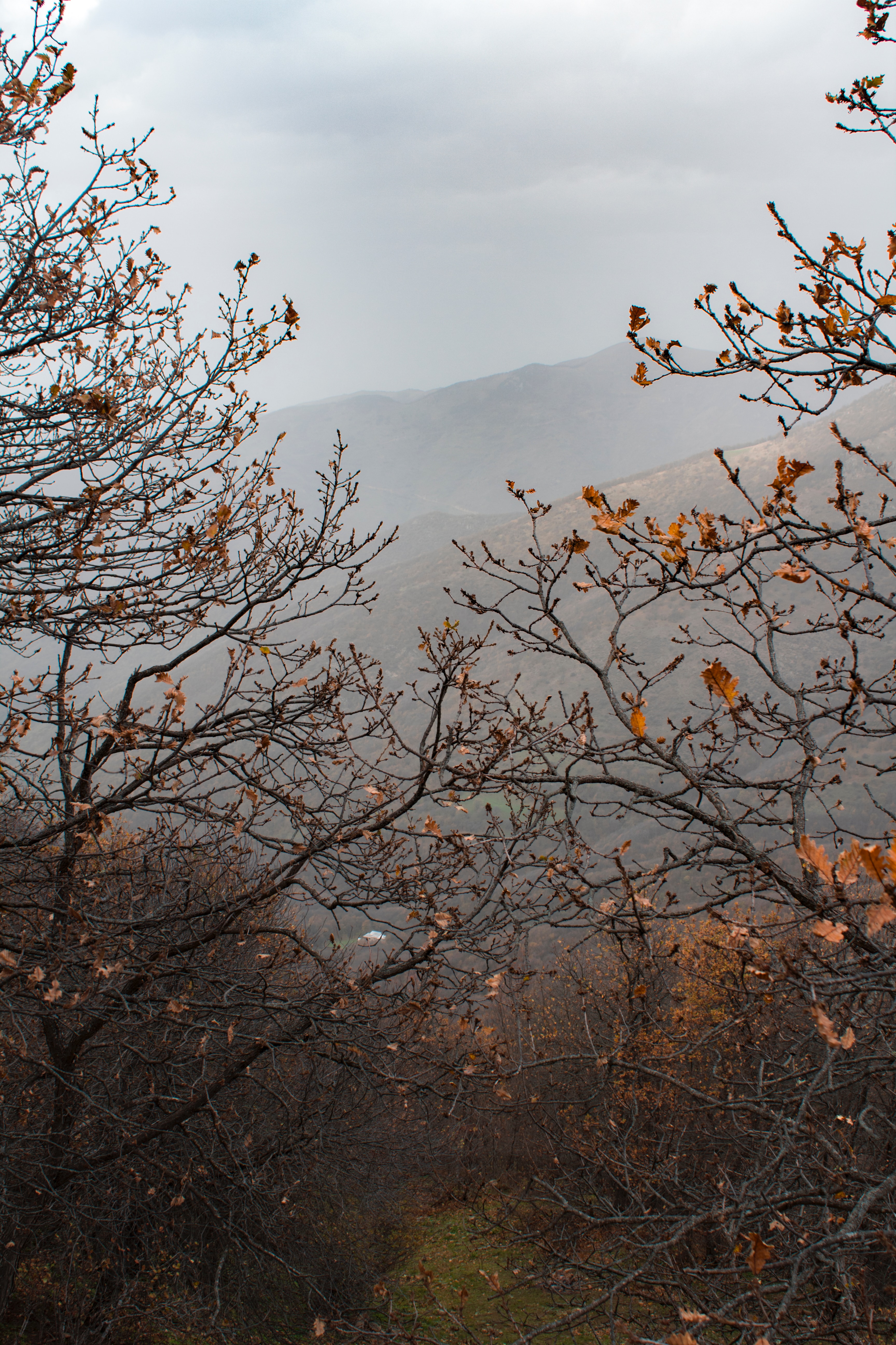Handy-Wallpaper Natur, Bäume, Mountains, Nebel, Landschaft, Herbst kostenlos herunterladen.