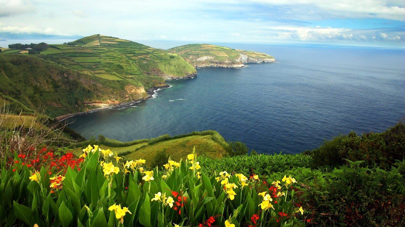Laden Sie das Horizont, Blume, Küste, Ozean, Erde, Portugal, Meer, Erde/natur-Bild kostenlos auf Ihren PC-Desktop herunter