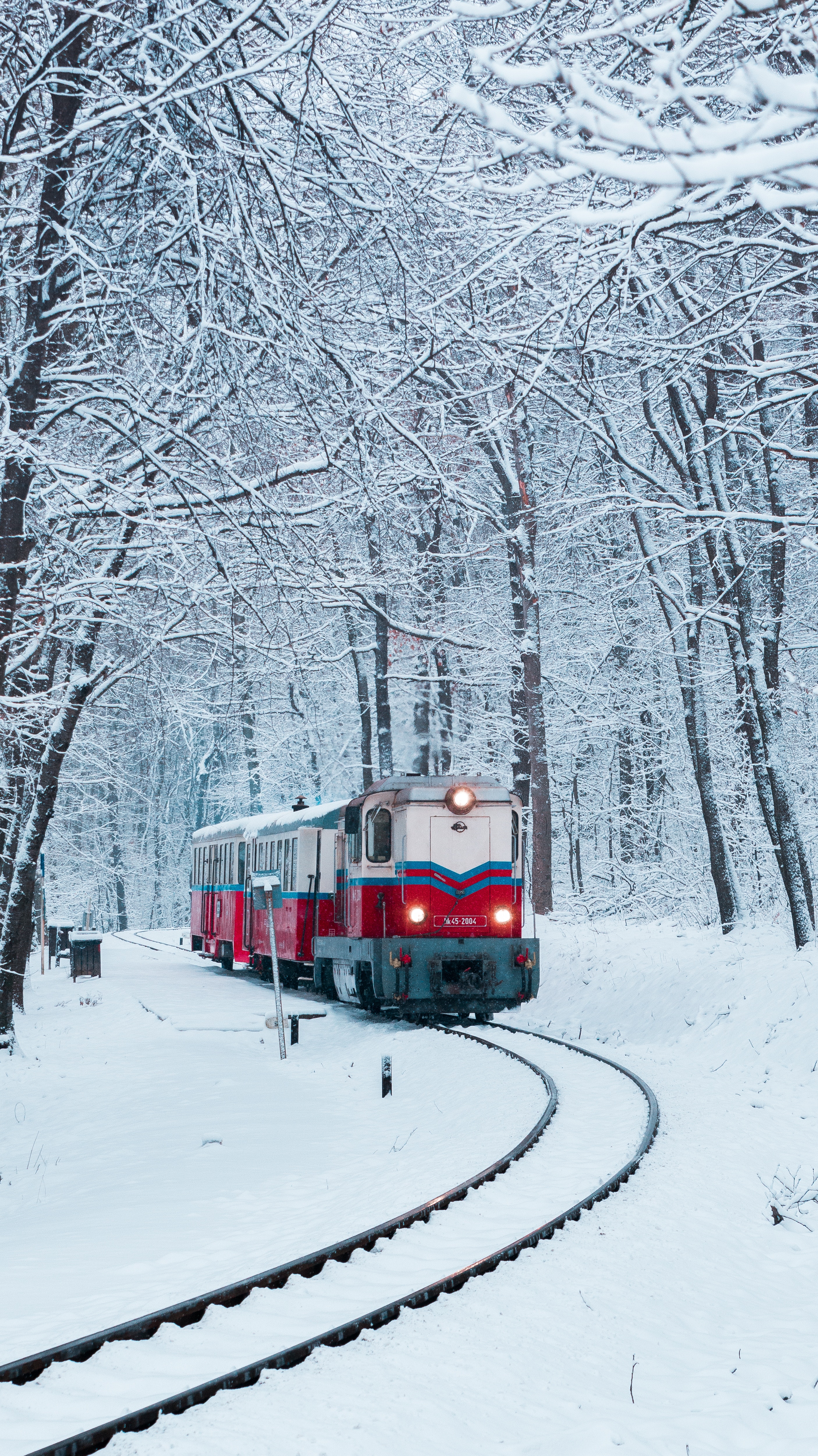 119280 скачать обои поезд, природа, железная дорога, снег, лес - заставки и картинки бесплатно