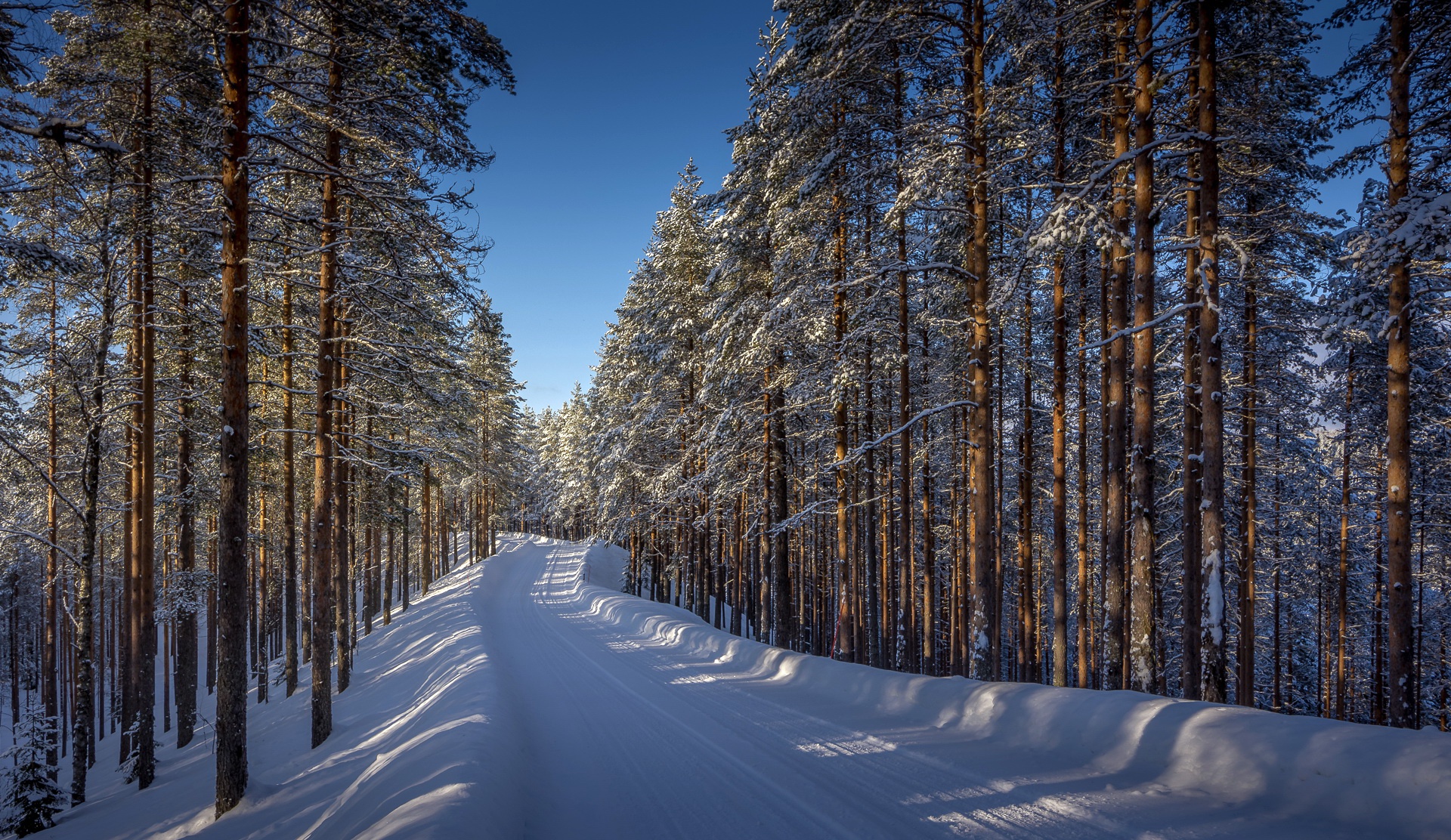 Free download wallpaper Winter, Nature, Snow, Forest, Tree, Earth, Path on your PC desktop