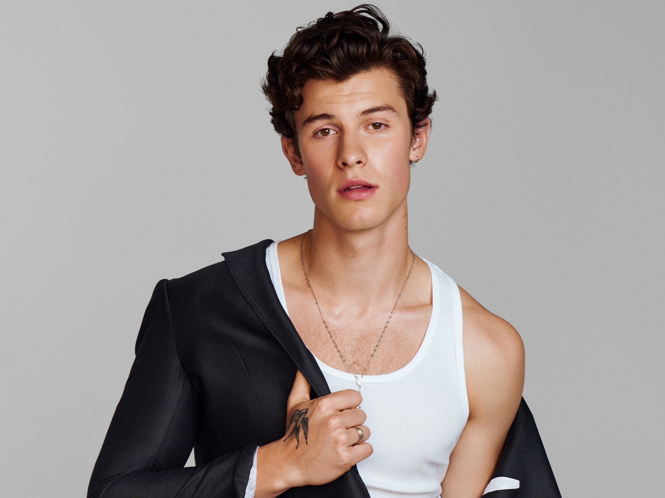 music, shawn mendes, canadian, singer