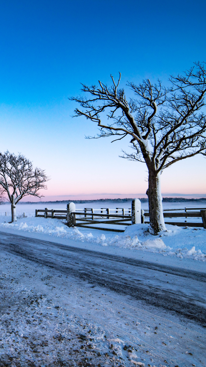 Descarga gratuita de fondo de pantalla para móvil de Invierno, Luna, Nieve, Árbol, Tierra, Valla, Cerca, Fotografía, Carretera, Atardecer, La Carretera, Puesta De Sol.