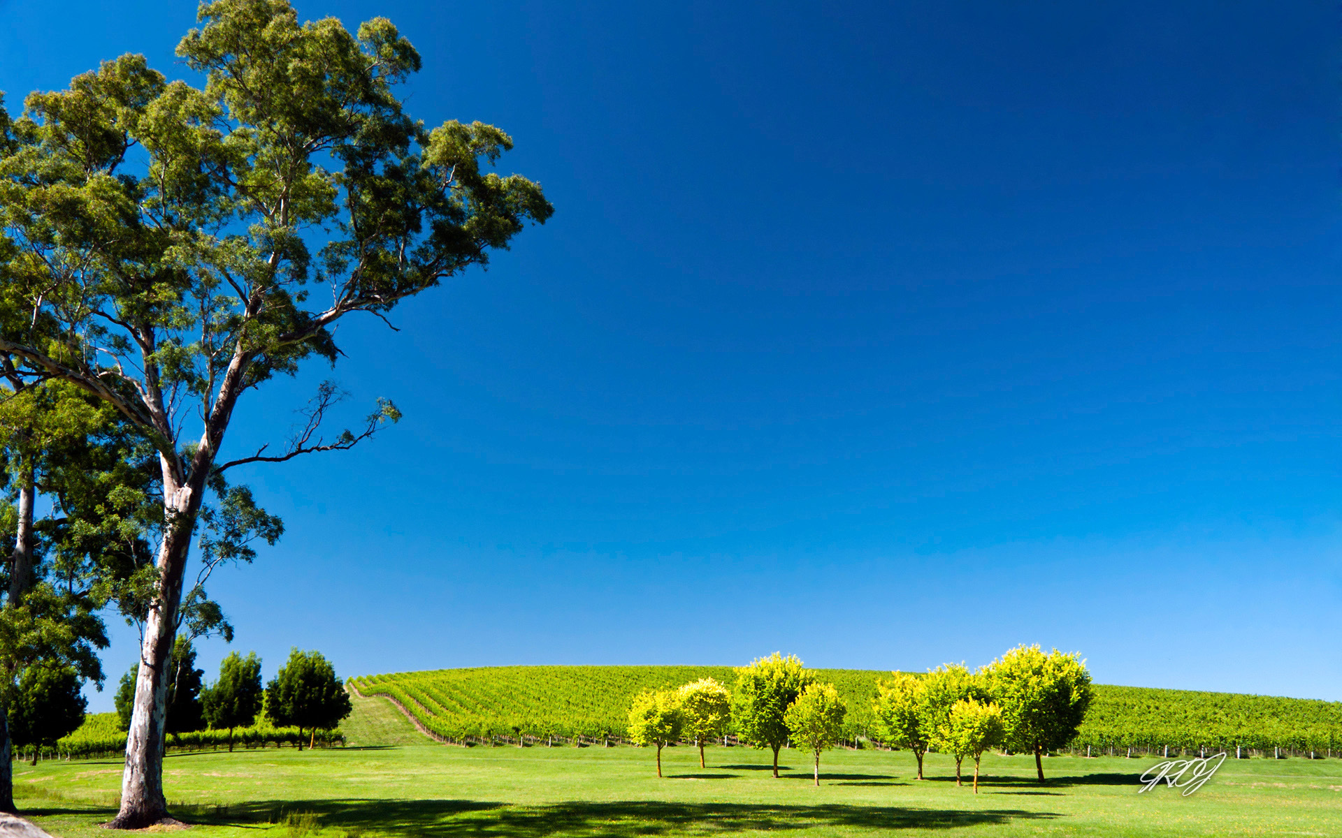 Handy-Wallpaper Landschaft, Erde/natur kostenlos herunterladen.