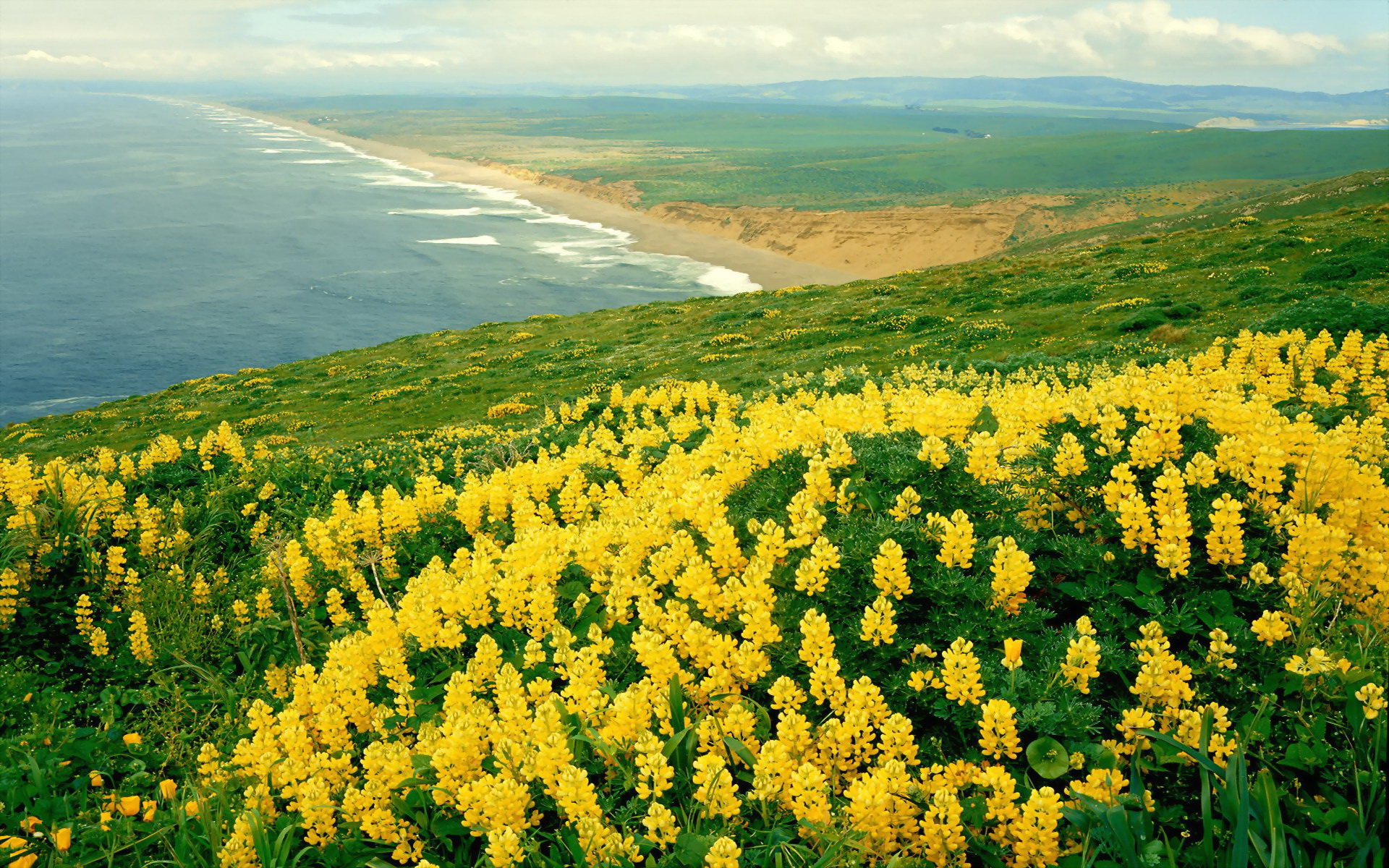 Handy-Wallpaper Landschaft, Erde/natur kostenlos herunterladen.