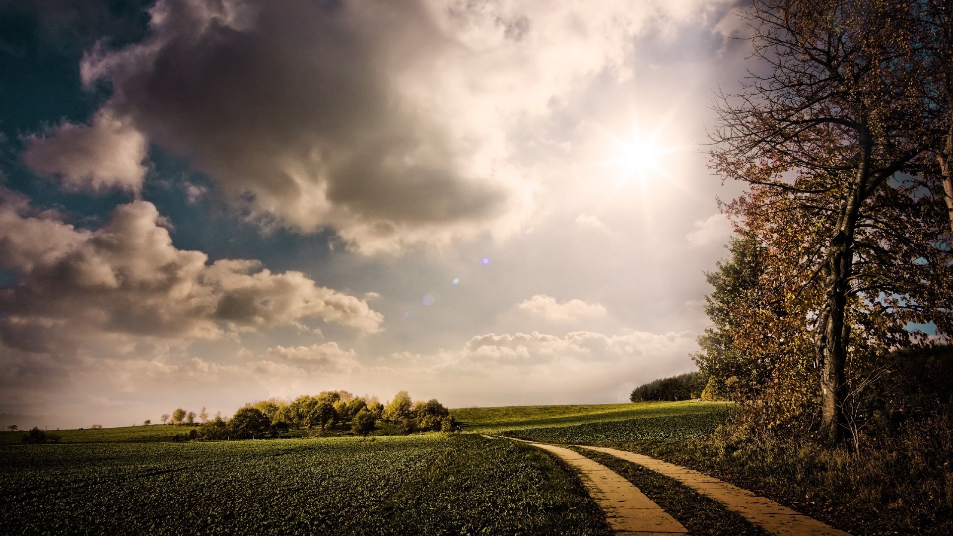 Download mobile wallpaper Road, Tree, Earth, Path, Cloud for free.