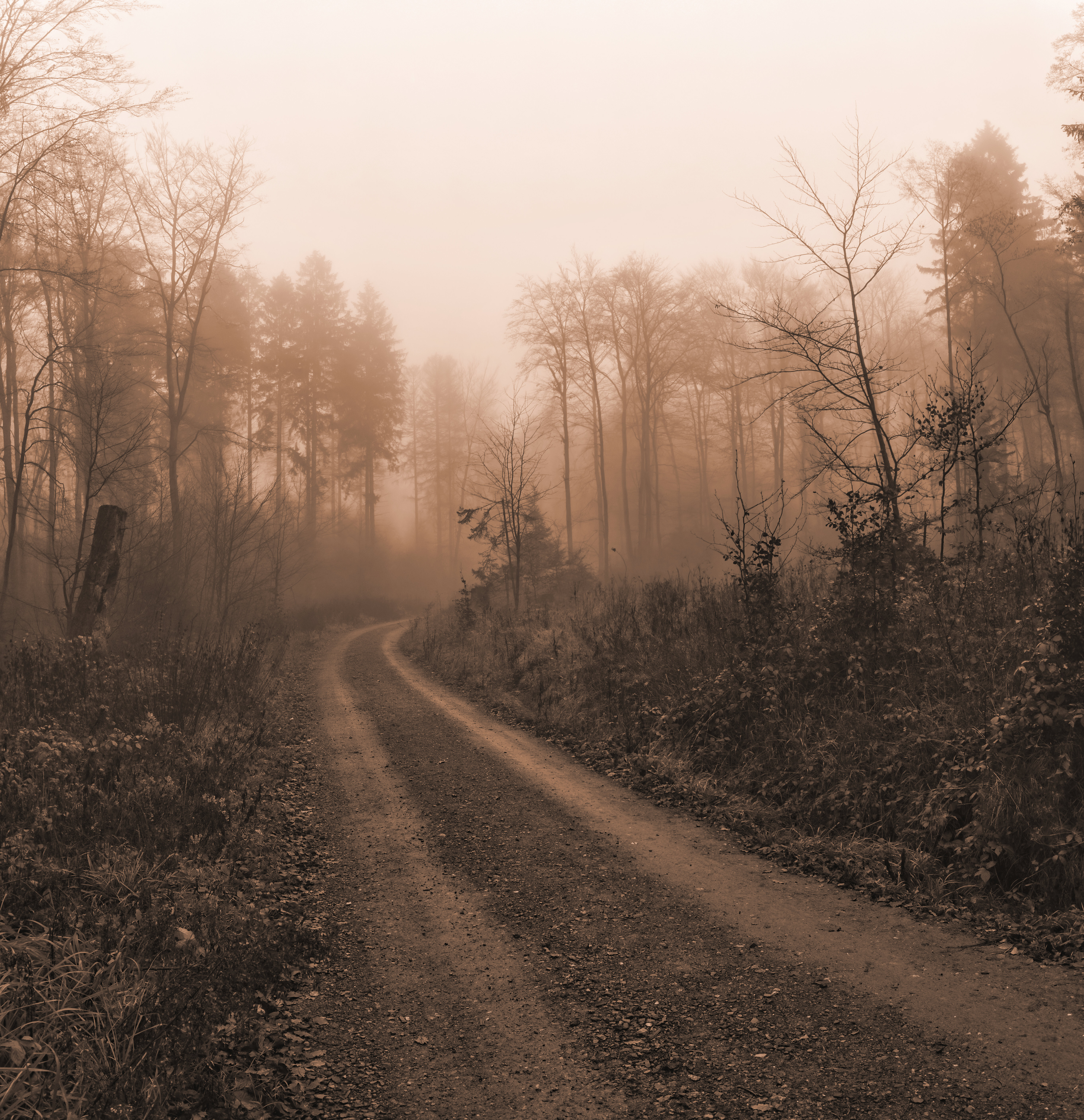 Free download wallpaper Trees, Road, Nature, Fog, Darkness on your PC desktop