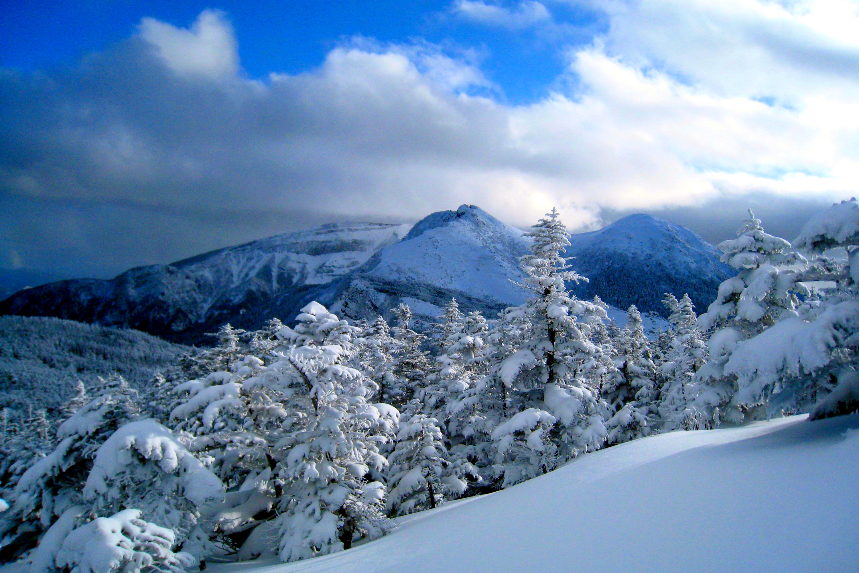Скачать обои бесплатно Зима, Снег, Гора, Лес, Дерево, Земля/природа картинка на рабочий стол ПК