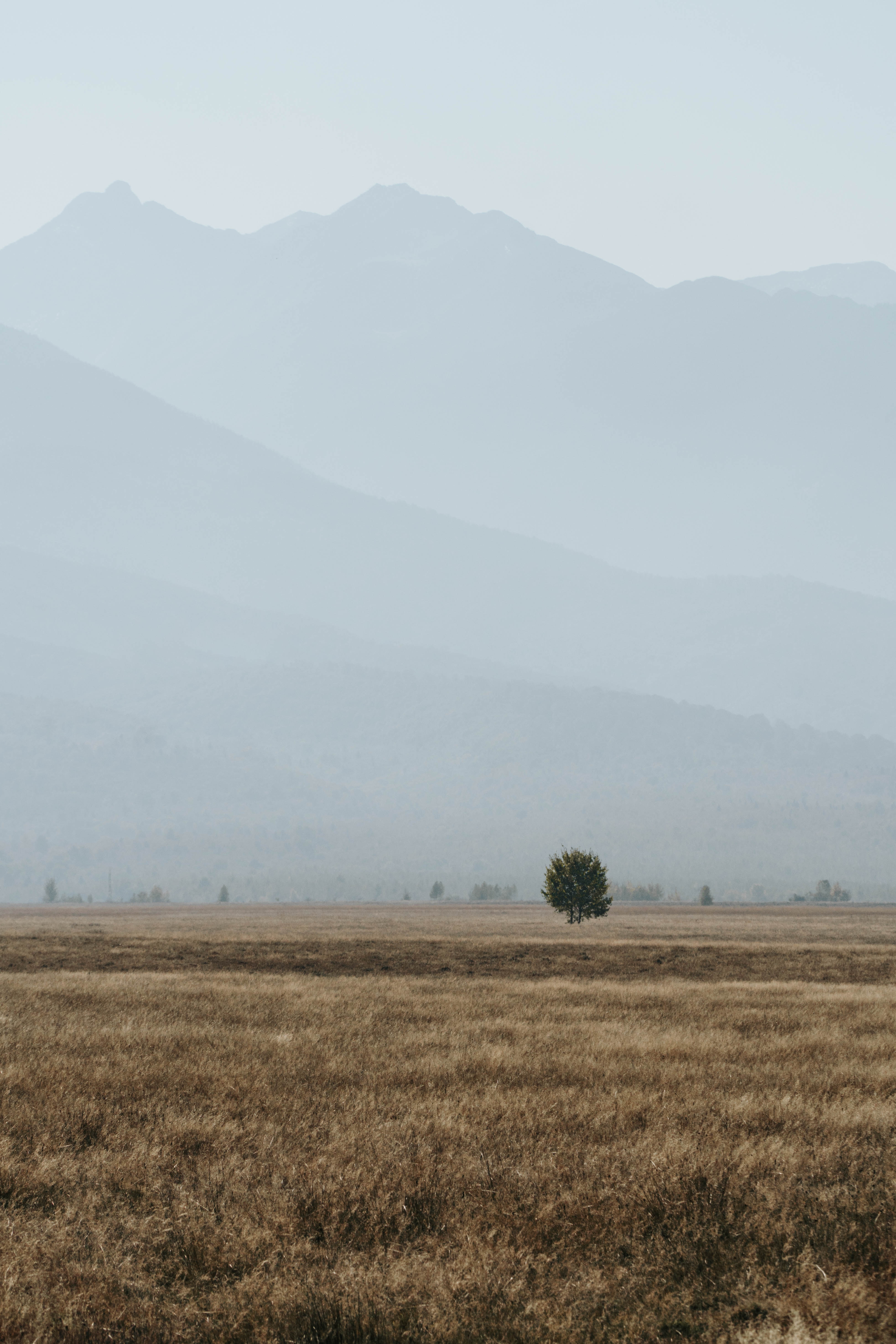 Free download wallpaper Nature, Mountains, Field, Fog, Landscape on your PC desktop