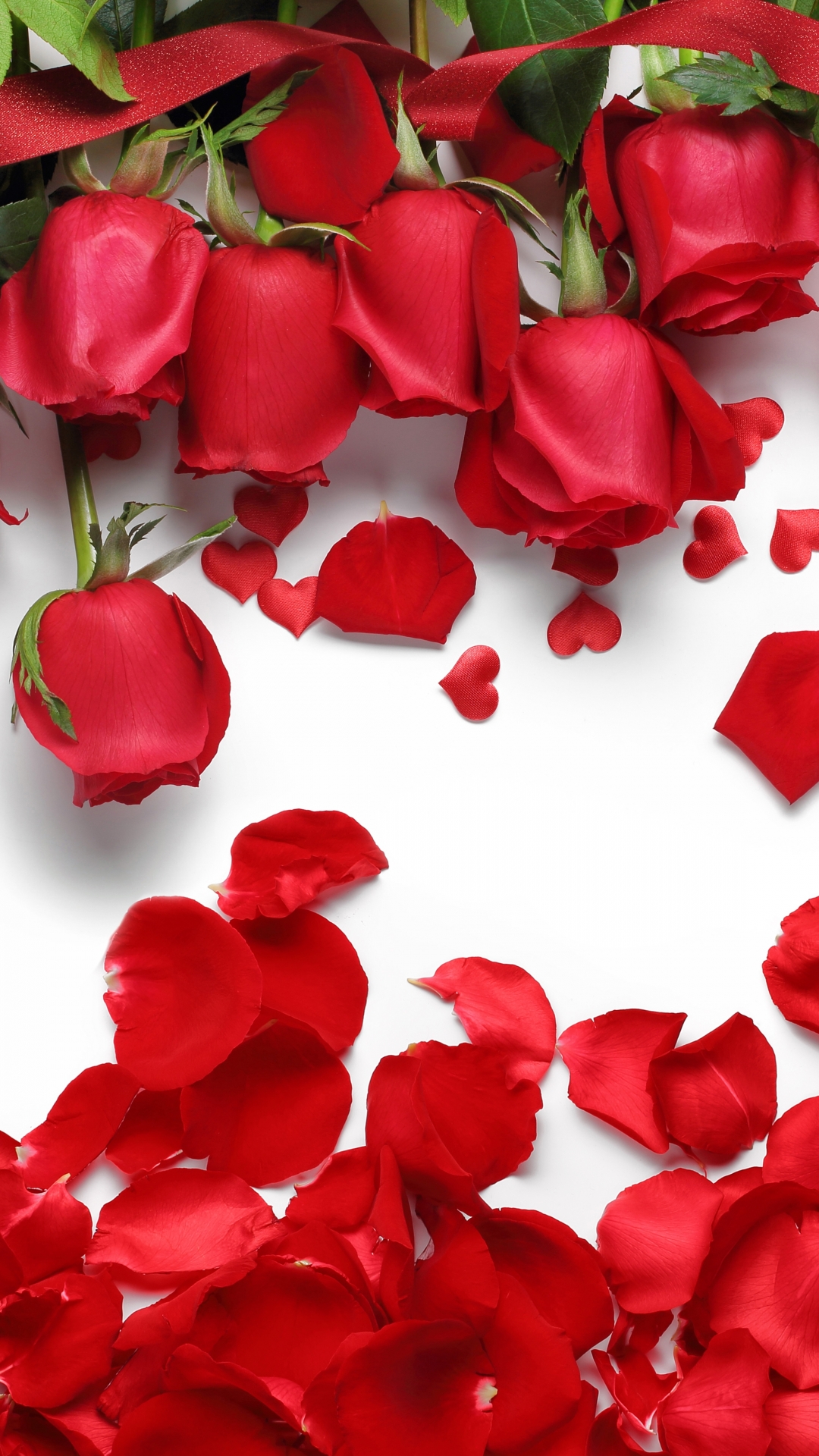 Download mobile wallpaper Flowers, Flower, Rose, Earth, Petal, Red Rose, Red Flower for free.