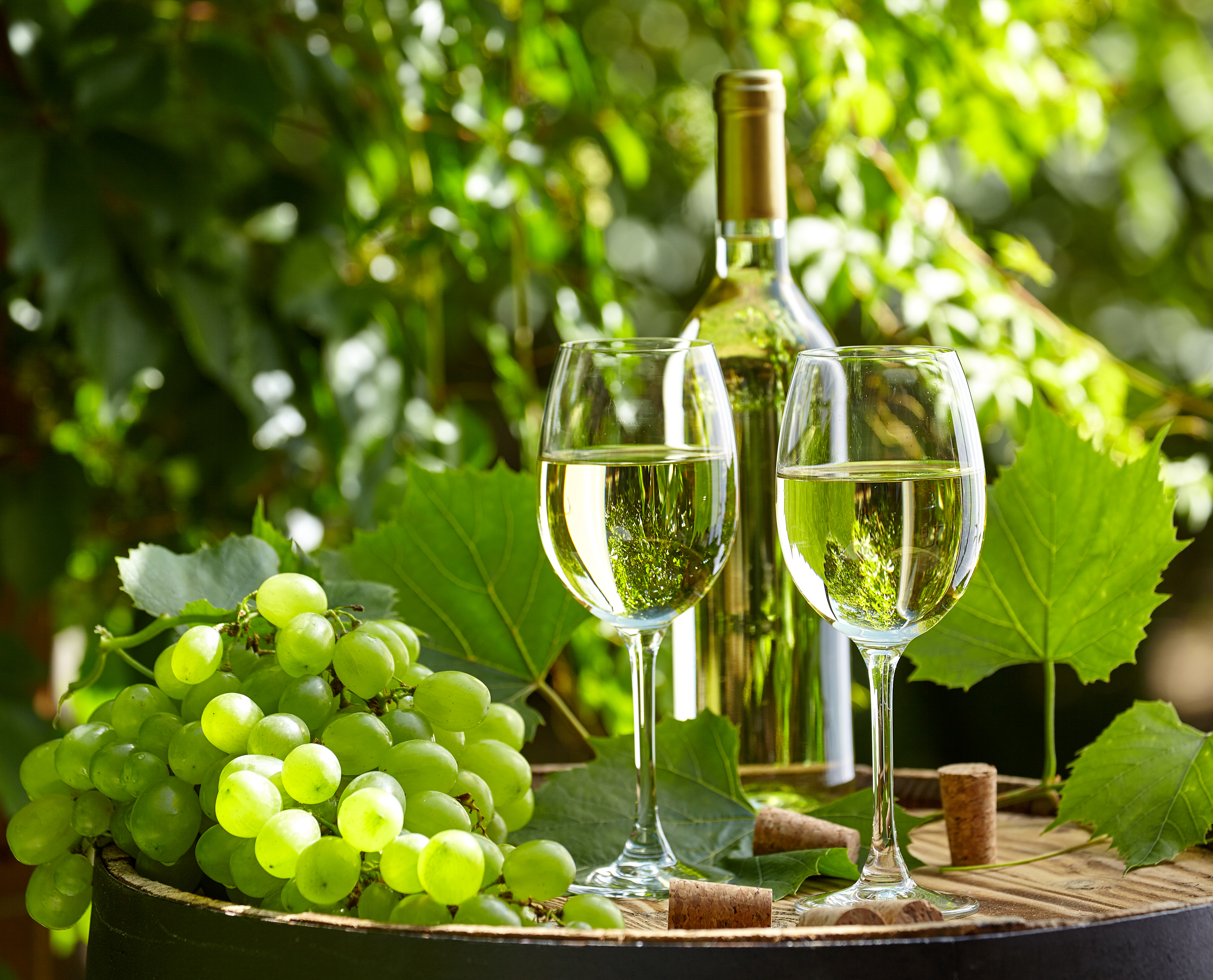 Download mobile wallpaper Food, Grapes, Still Life, Glass, Bottle, Wine for free.