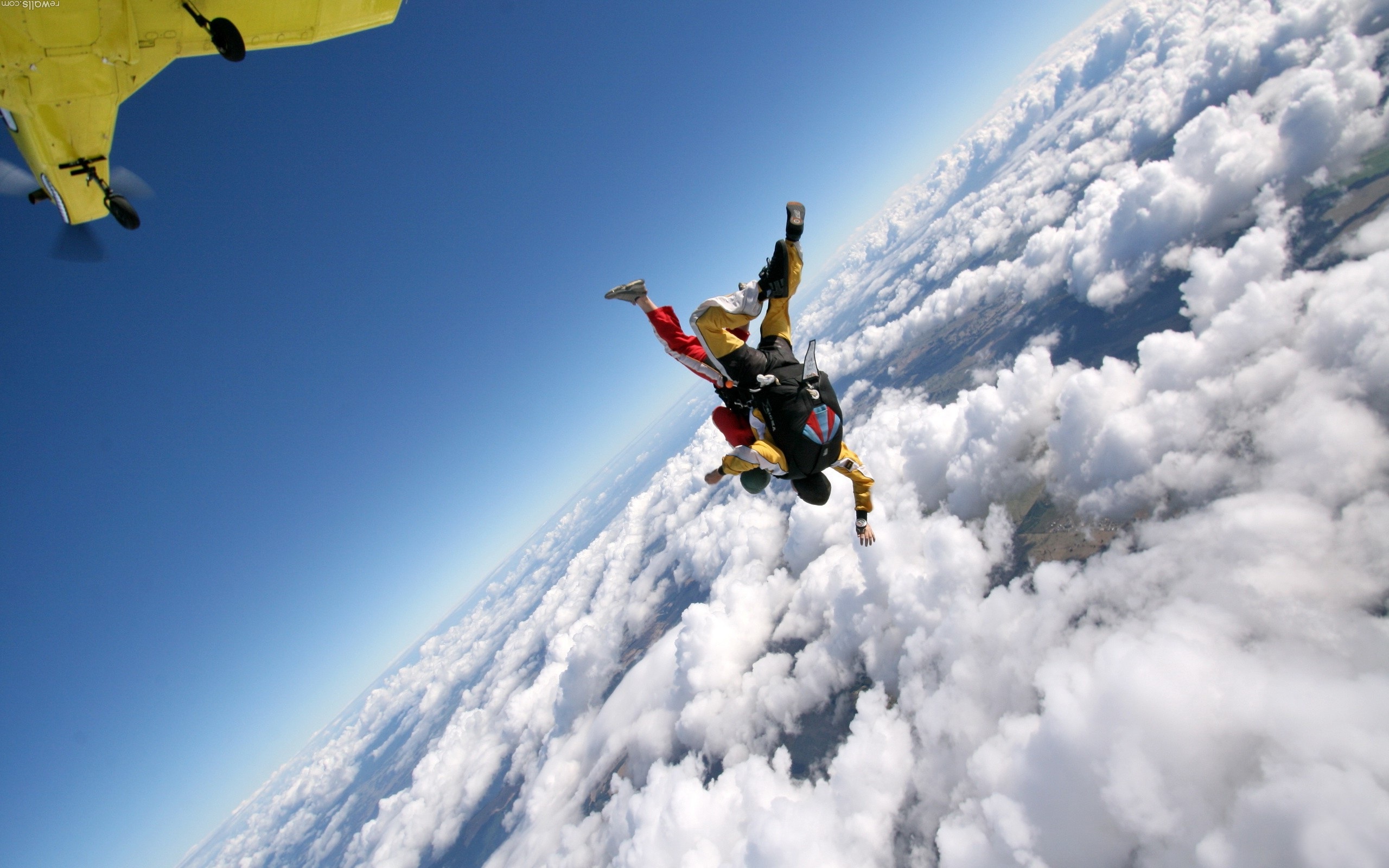 569116 скачать обои прыжки с парашютом, виды спорта - заставки и картинки бесплатно