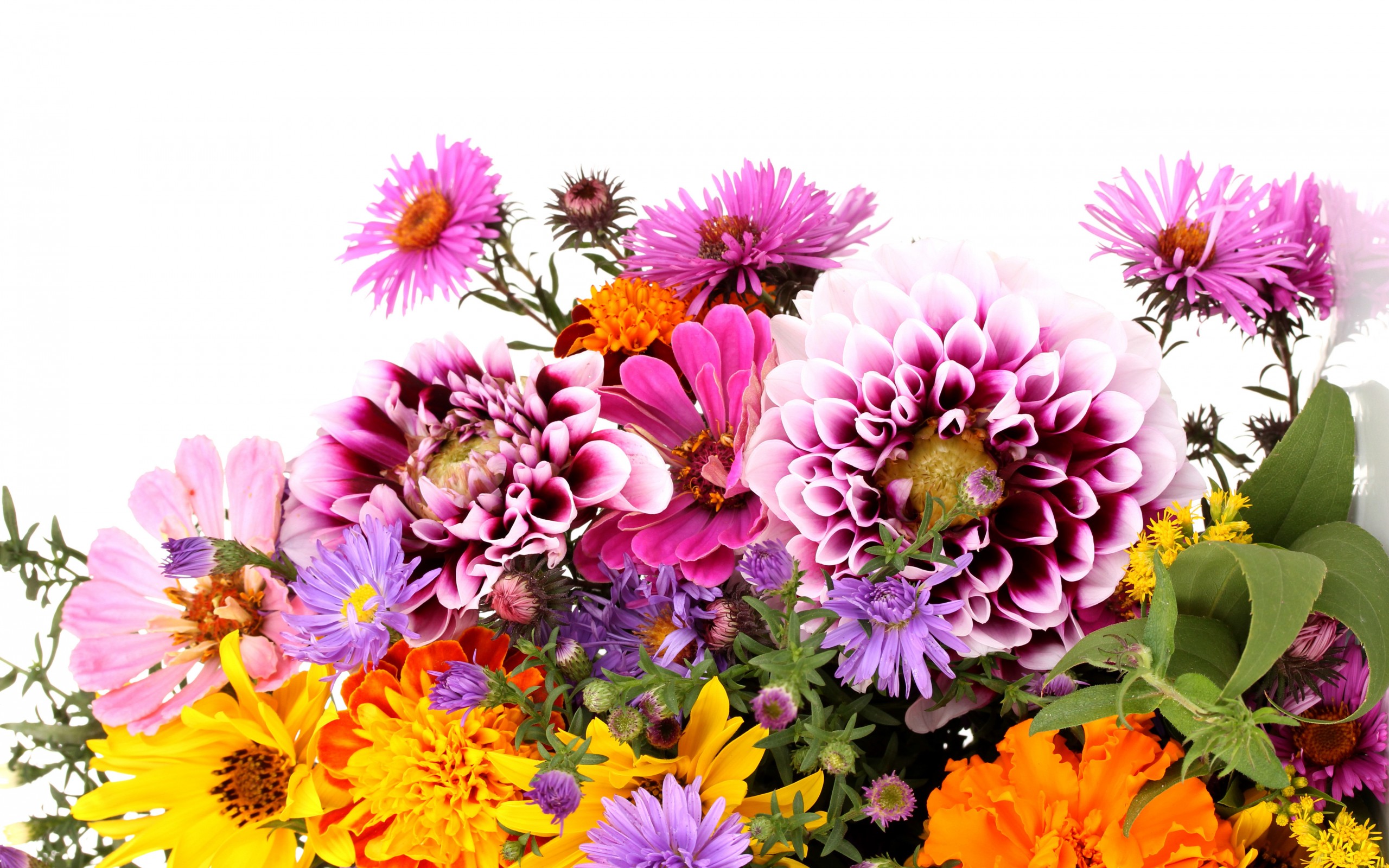 Завантажити шпалери безкоштовно Квітка, Земля, Флауерзи картинка на робочий стіл ПК