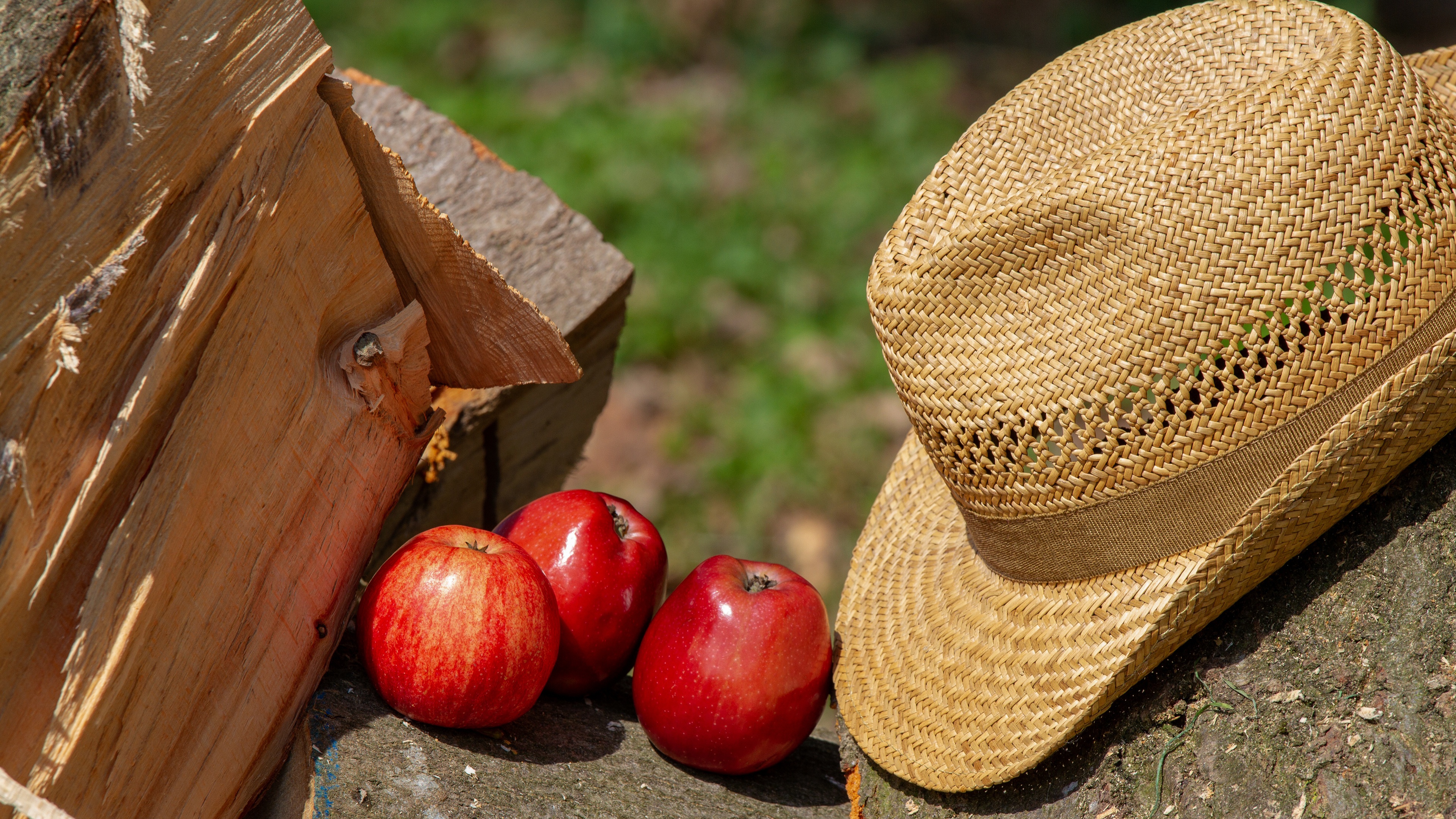 487897 скачать обои еда, яблоко, дрова, фрукты, шляпа - заставки и картинки бесплатно