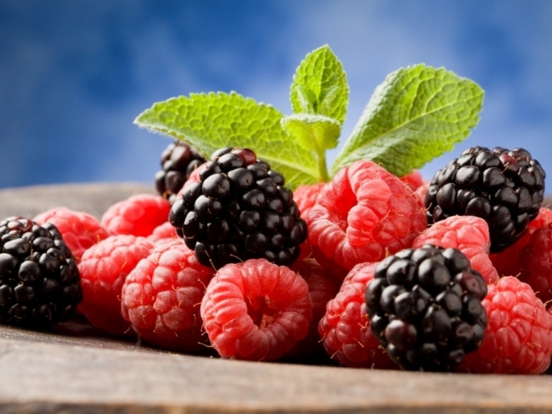 Download mobile wallpaper Blackberry, Raspberry, Plants, Food for free.