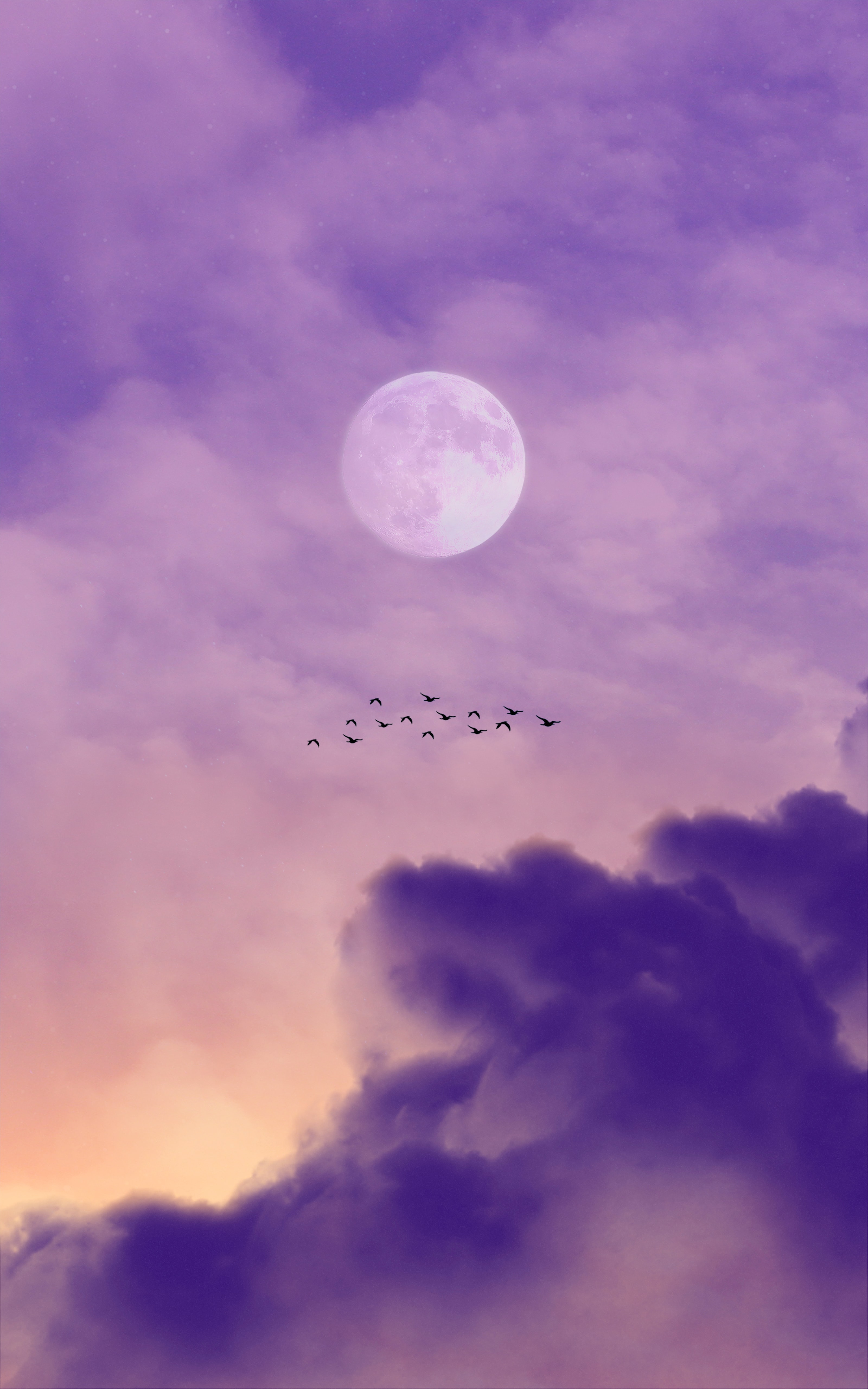 Завантажити шпалери безкоштовно Природа, Небо, Хмари, Птахи, Місяць картинка на робочий стіл ПК