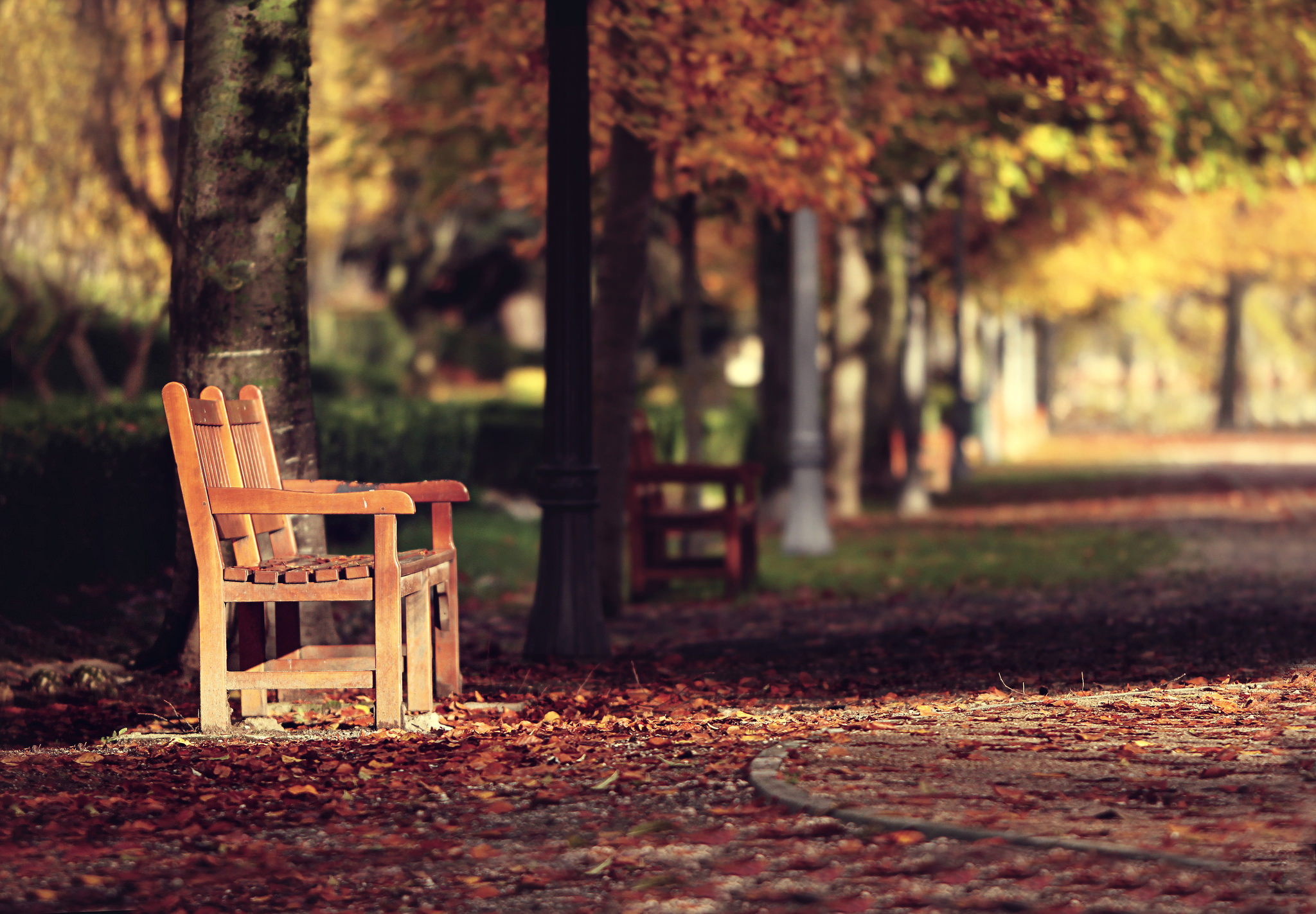 Download mobile wallpaper Park, Fall, Bench, Photography, Depth Of Field for free.