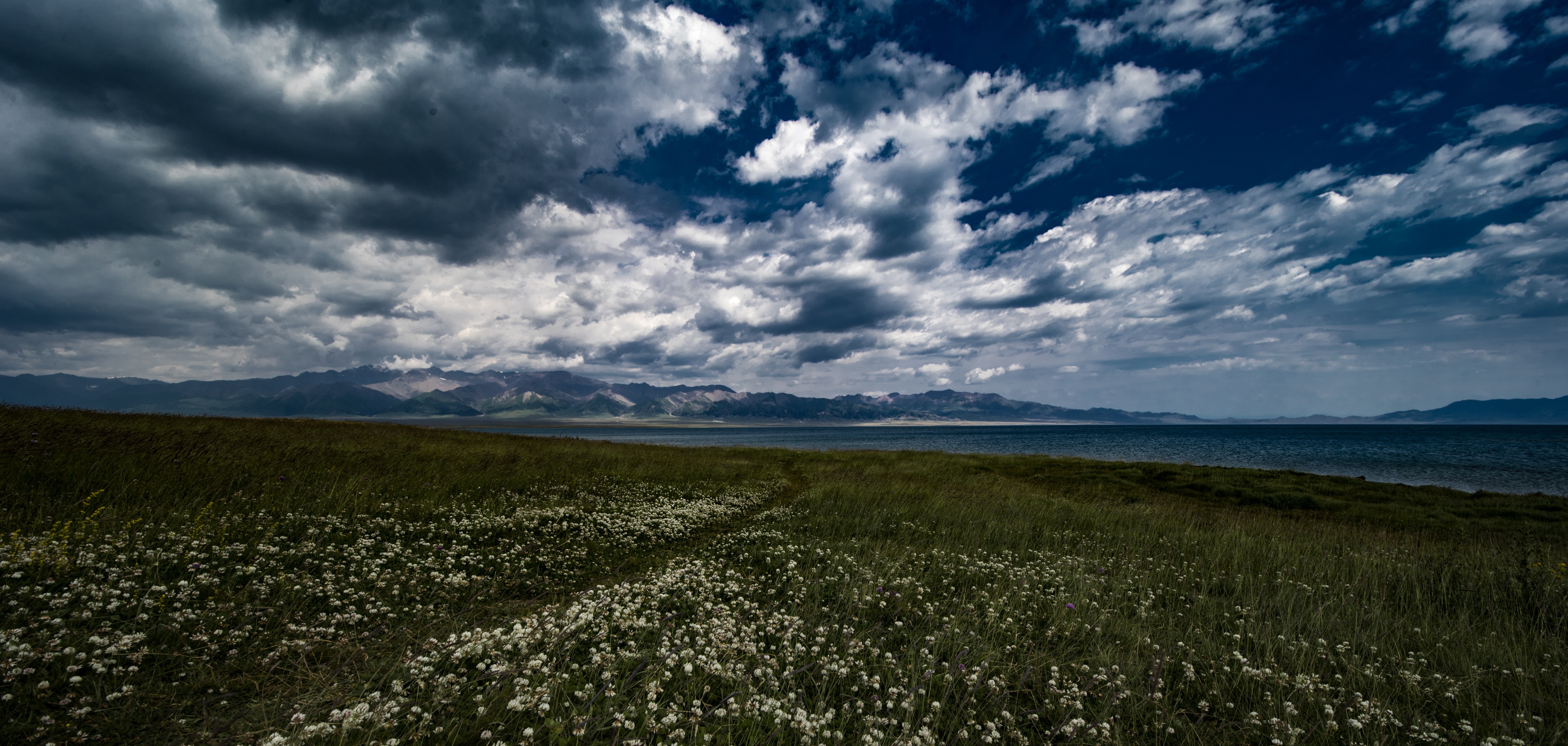 Laden Sie das Natur, Clouds, Blumen, Mountains, Feld-Bild kostenlos auf Ihren PC-Desktop herunter