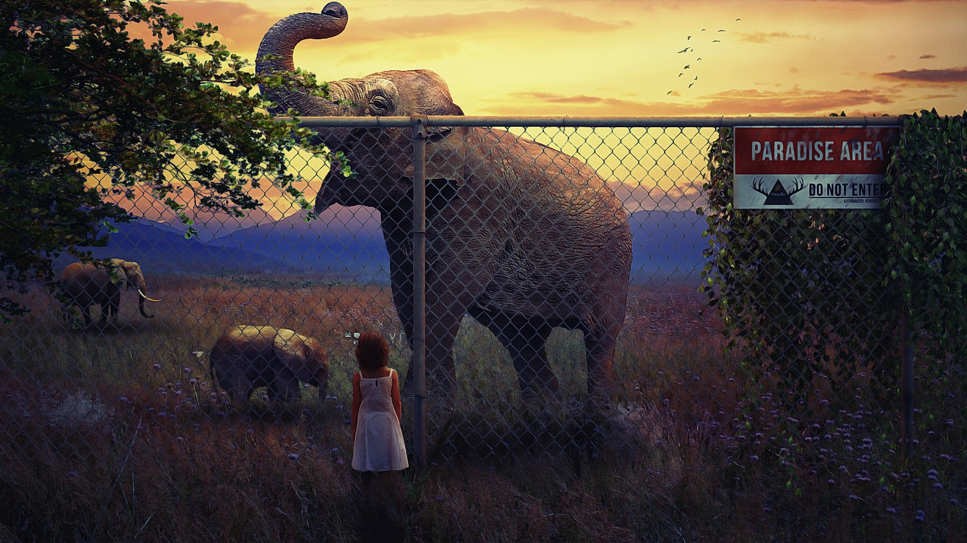 Laden Sie das Zaun, Elefant, Fotografie, Manipulation, Kleines Mädchen-Bild kostenlos auf Ihren PC-Desktop herunter