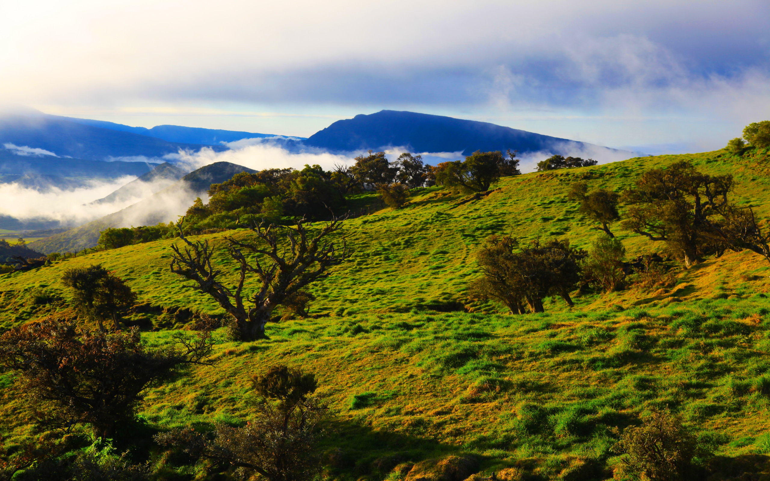 Téléchargez gratuitement l'image Paysage, Terre/nature sur le bureau de votre PC