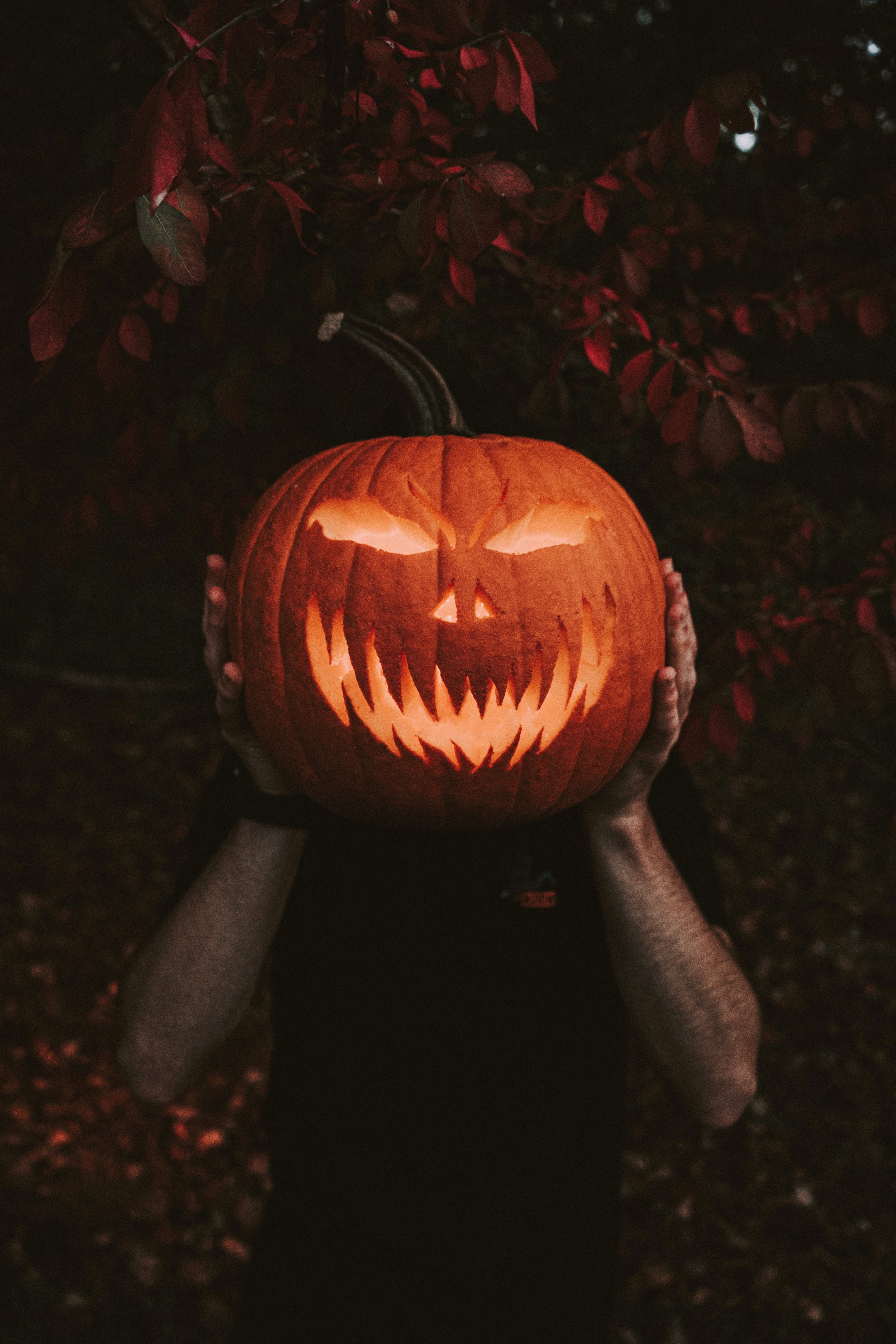 Laden Sie das Sonstige, Hände, Verschiedenes, Kürbis, Halloween-Bild kostenlos auf Ihren PC-Desktop herunter