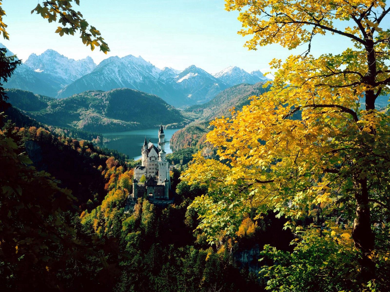 Скачать обои бесплатно Высота, Замок, Бавария, Германия, Природа, Осень картинка на рабочий стол ПК