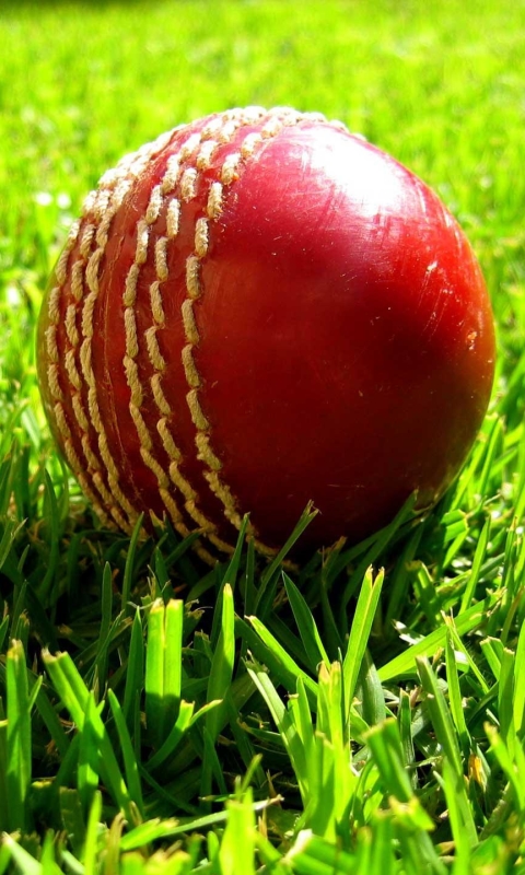 cricket, sports