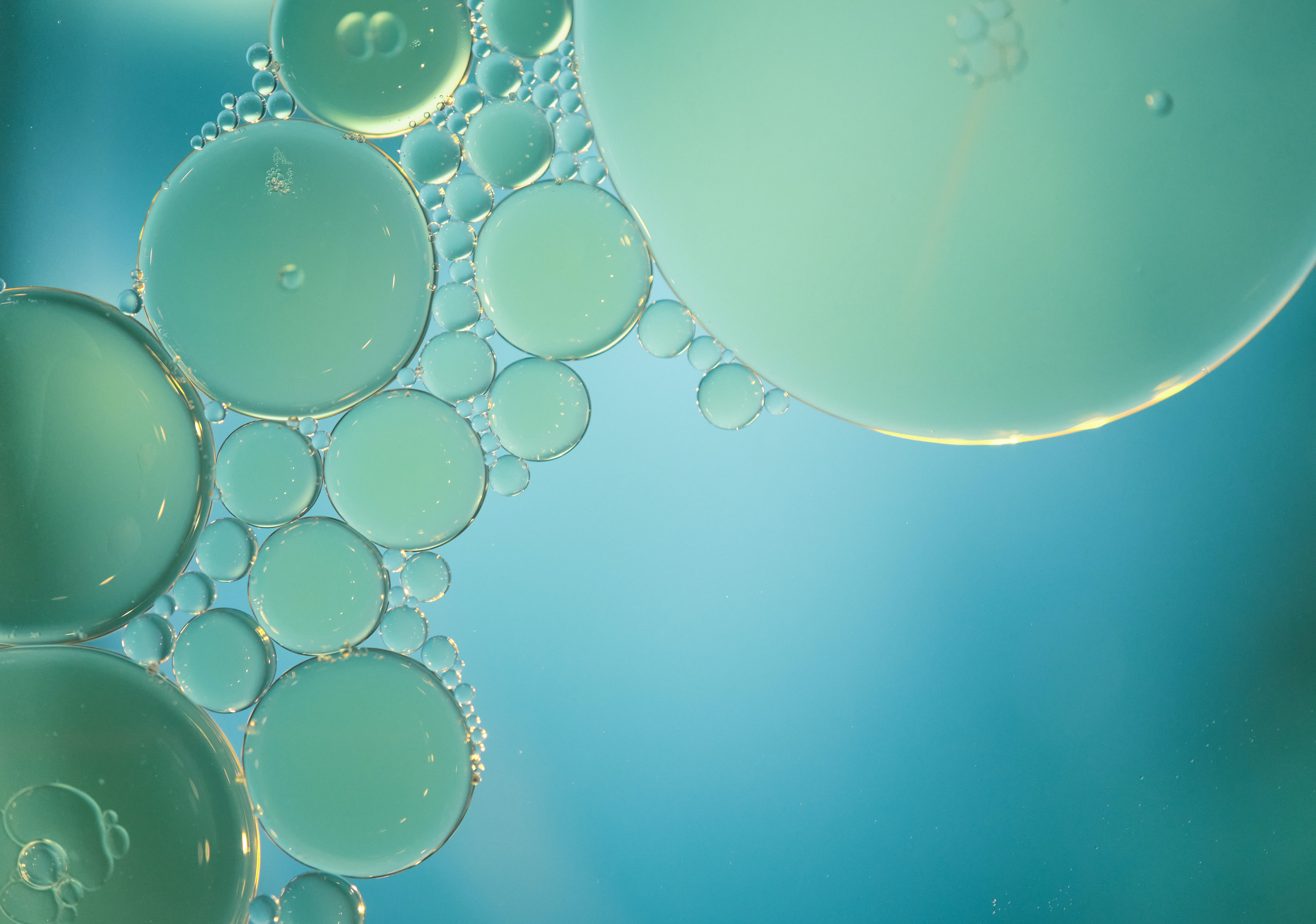 Desktop FHD abstract, water, bubbles, blue, circles