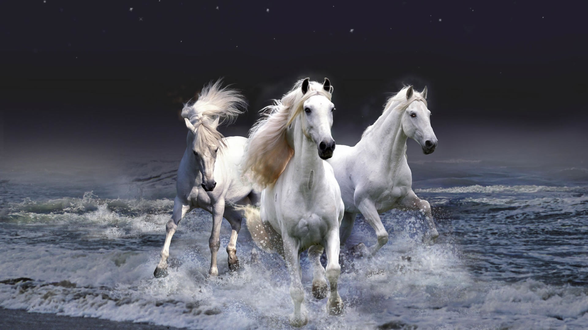 25072 скачать обои лошади, море, животные, волны - заставки и картинки бесплатно