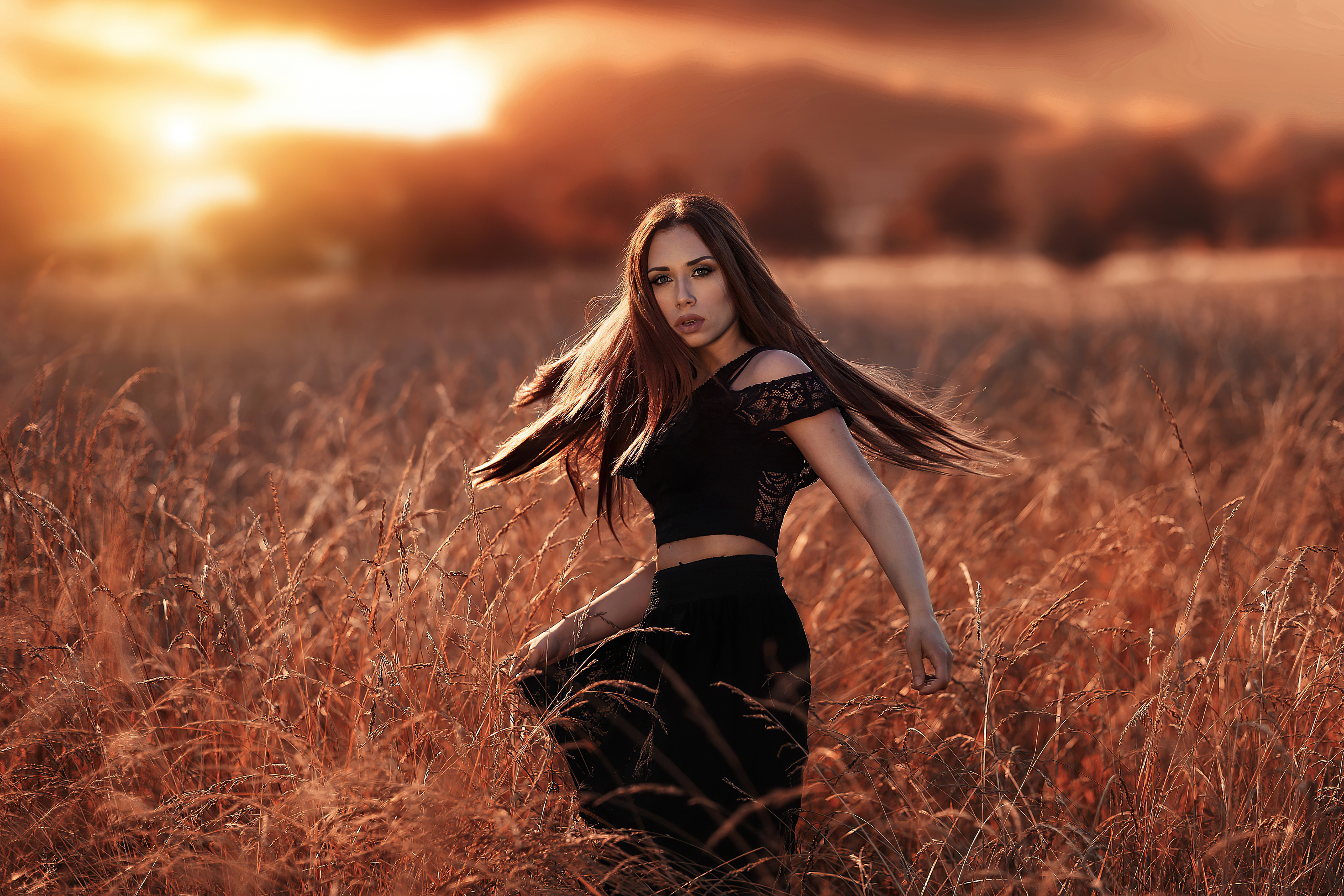 Free download wallpaper Field, Brunette, Model, Women, Long Hair, Depth Of Field on your PC desktop