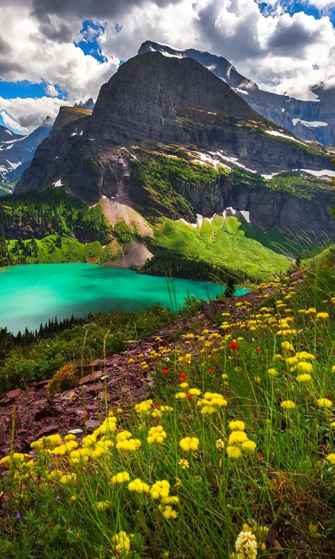 Download mobile wallpaper Mountains, Mountain, Lake, Flower, Earth, Yellow Flower for free.