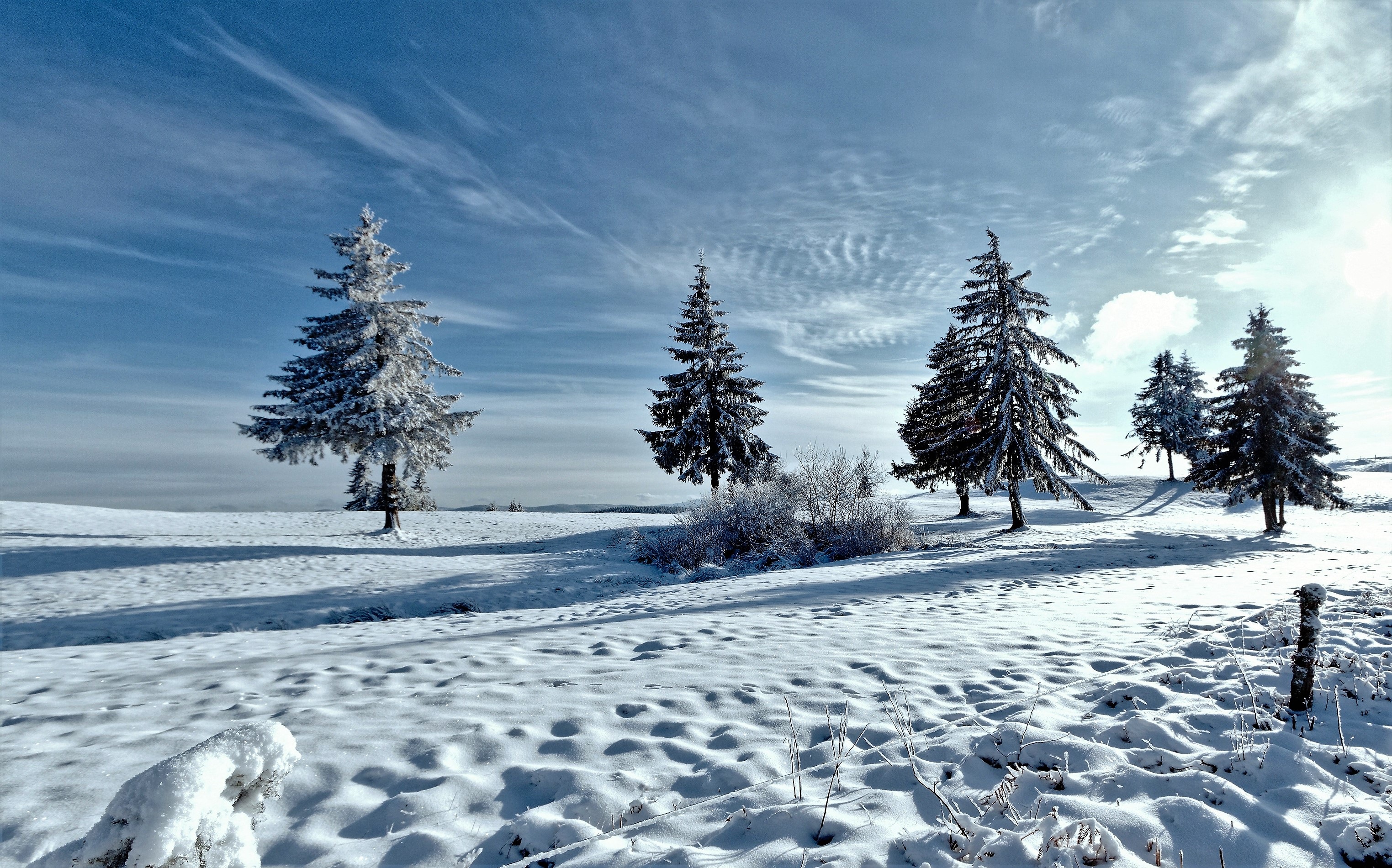 Download mobile wallpaper Snow, Trees, Winter, Nature for free.