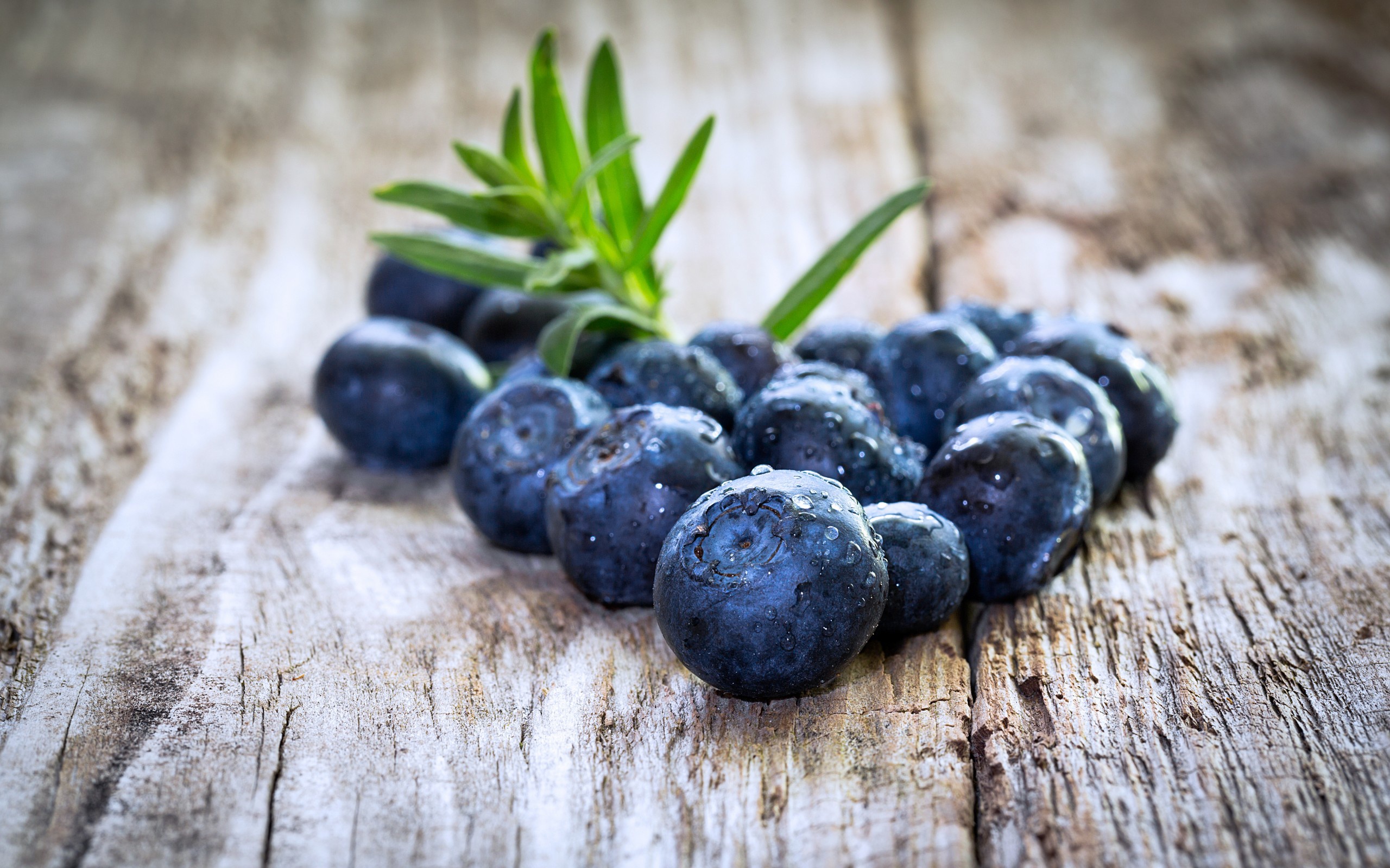 Free download wallpaper Food, Blueberry, Berry, Fruit on your PC desktop