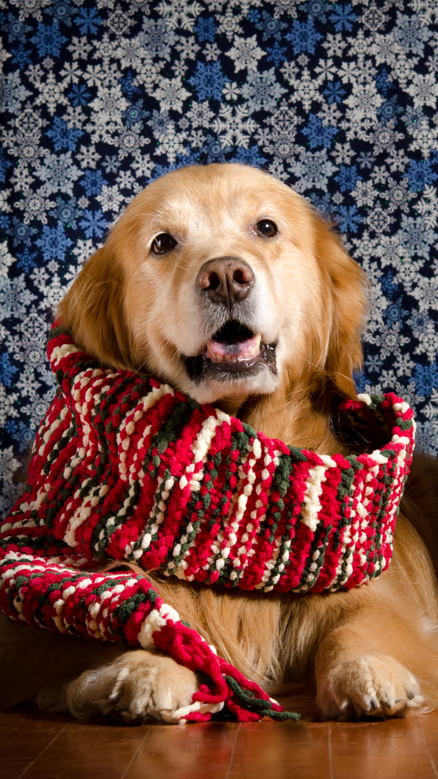 Download mobile wallpaper Dogs, Dog, Animal, Golden Retriever, Scarf for free.