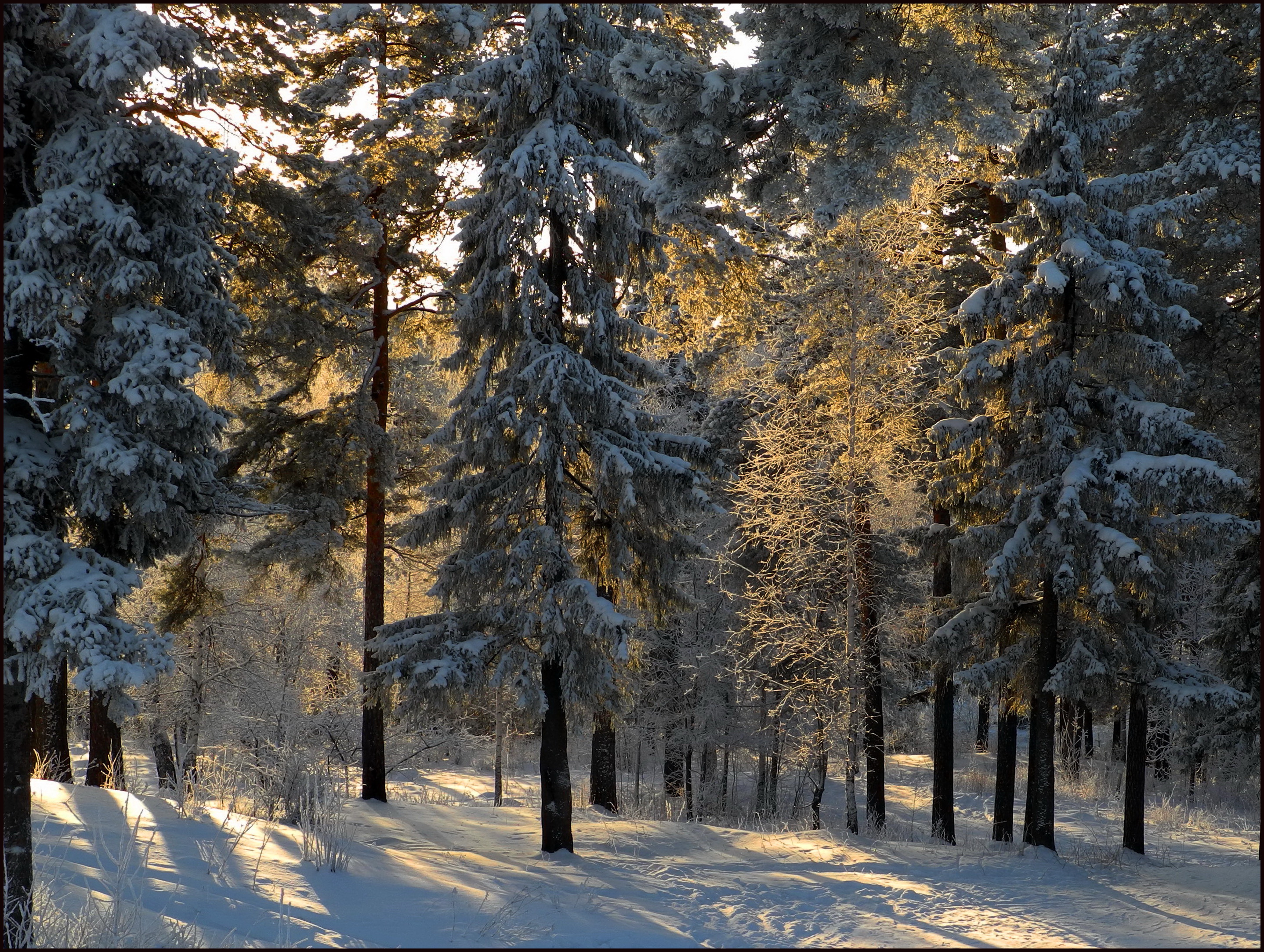 Téléchargez gratuitement l'image Hiver, Terre/nature sur le bureau de votre PC