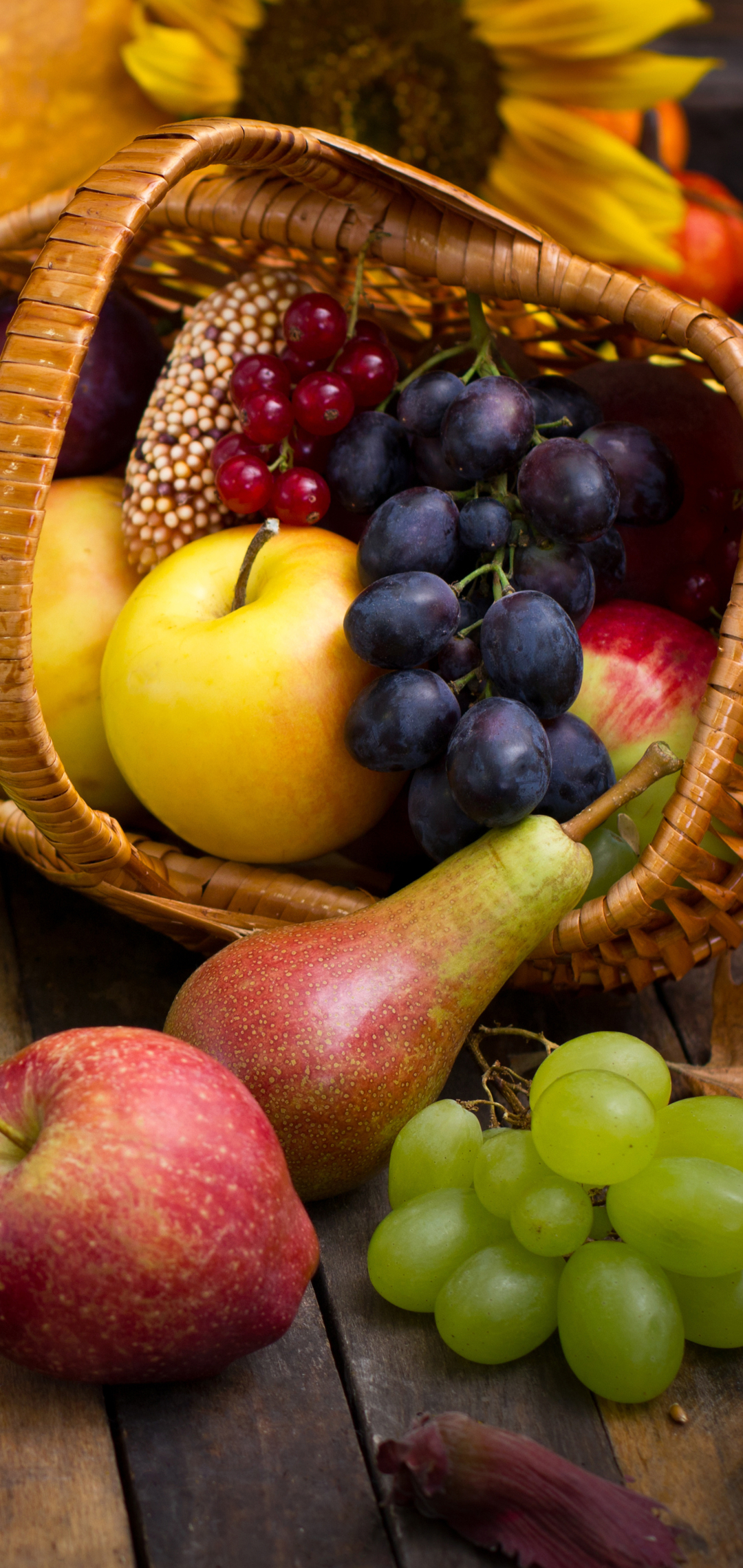 Handy-Wallpaper Herbst, Trauben, Apfel, Ernte, Birne, Nahrungsmittel, Stillleben, Früchte kostenlos herunterladen.