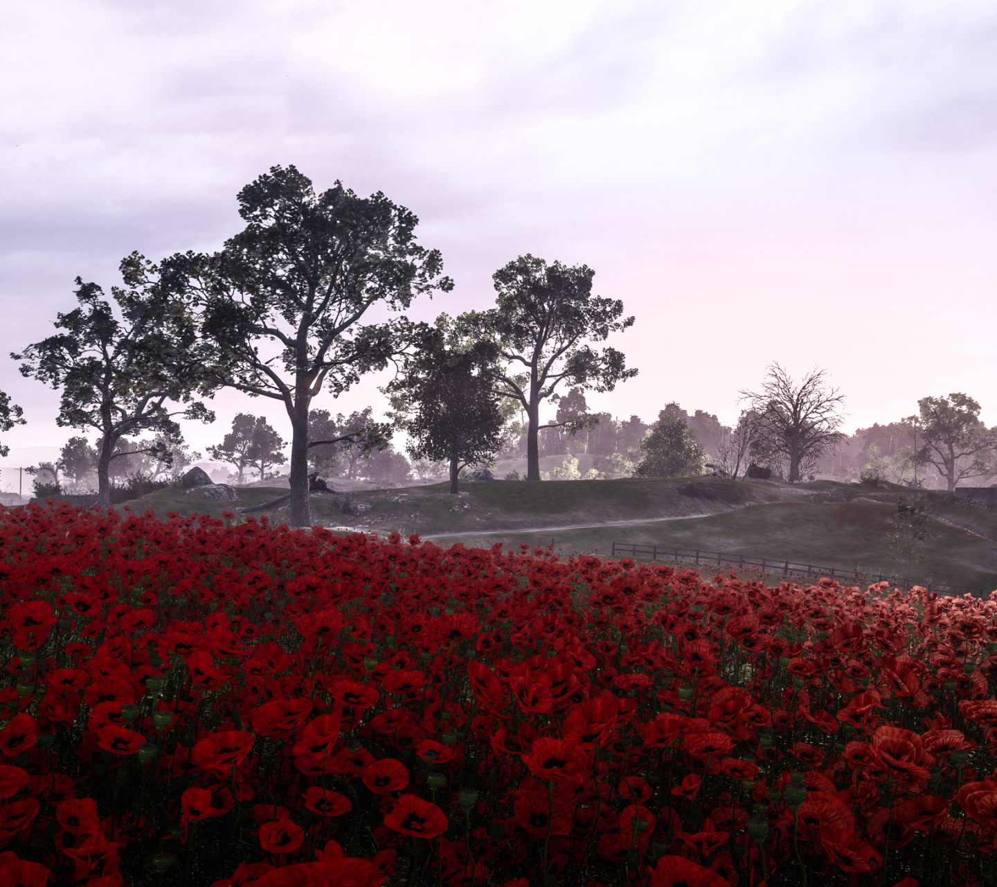 Free download wallpaper Landscape, Battlefield, Flower, Poppy, Red Flower, Video Game, Battlefield 1 on your PC desktop