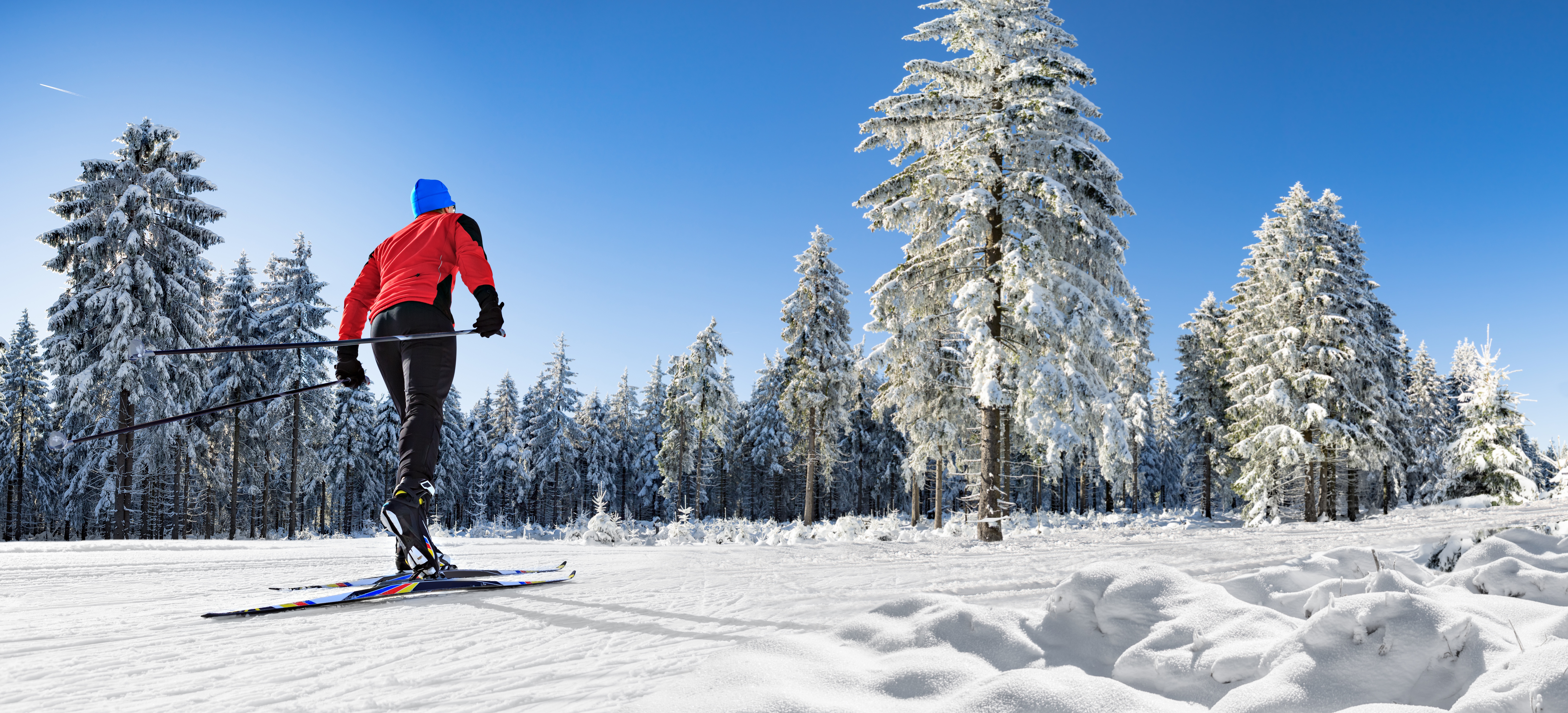 Handy-Wallpaper Sport, Winter, Schnee, Baum, Skifahren kostenlos herunterladen.