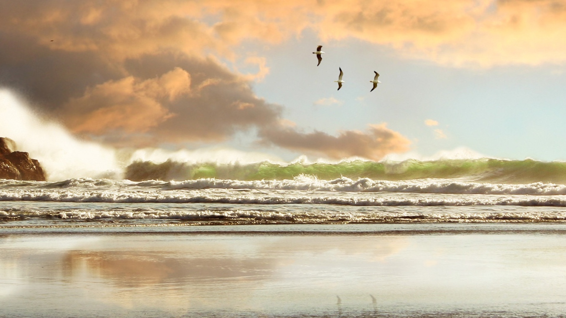 Скачать обои бесплатно Чайки, Облака, Океан, Волна, Земля/природа картинка на рабочий стол ПК