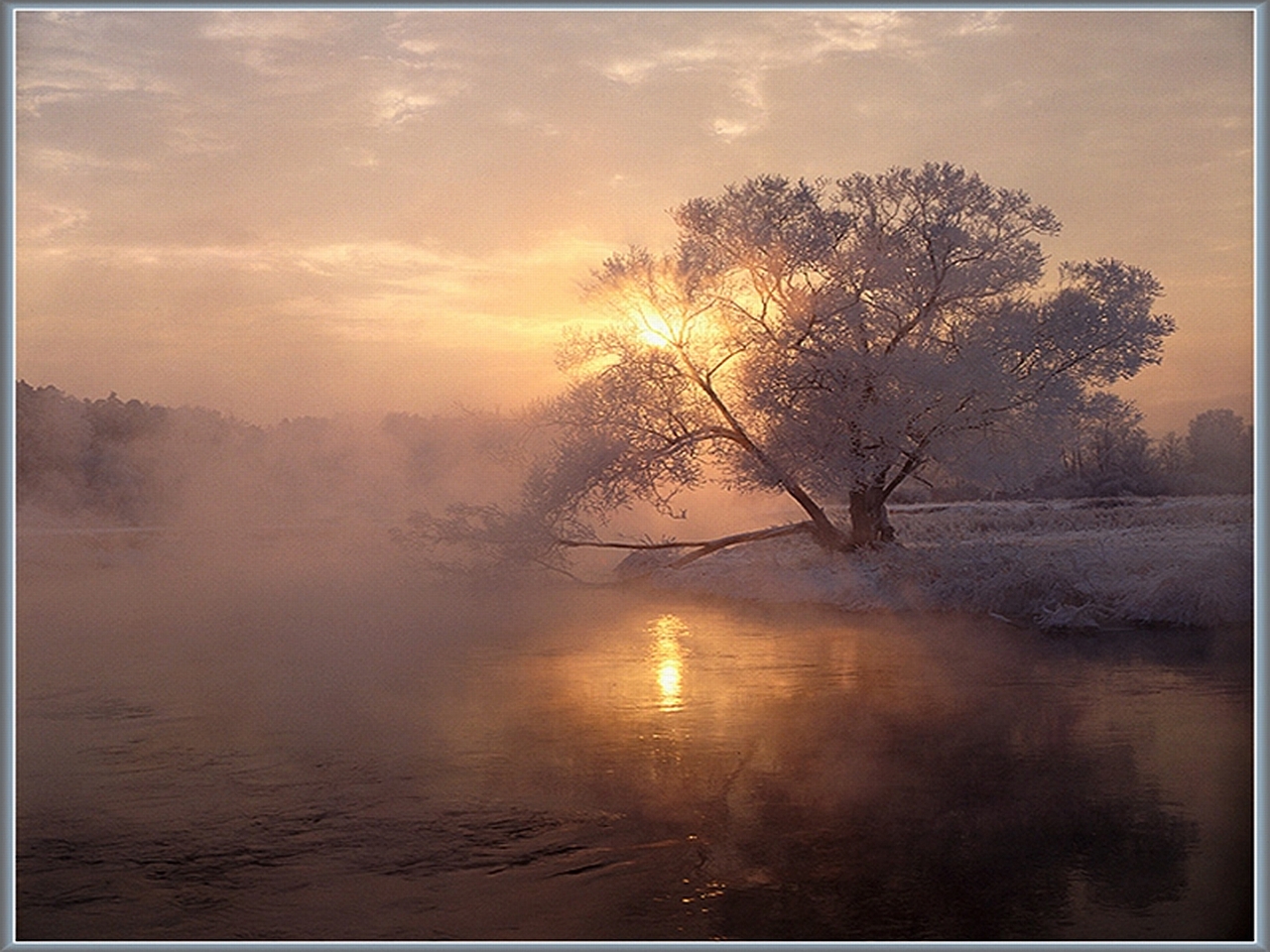 Laden Sie das Nebel, Erde/natur-Bild kostenlos auf Ihren PC-Desktop herunter