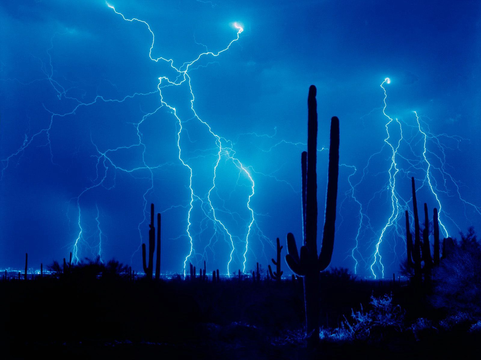 thunderstorm, cactuses, lightning, nature, sky, desert, element, outlines, storm