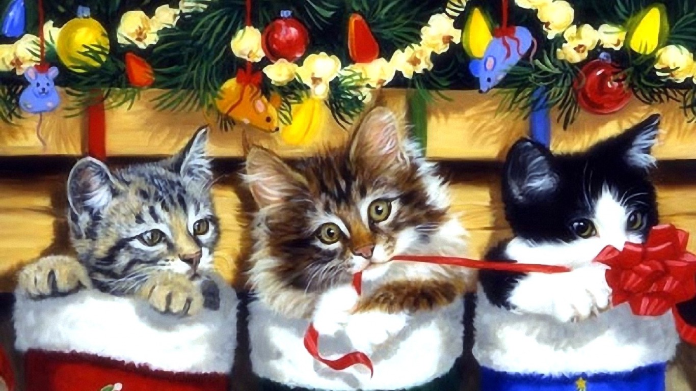Handy-Wallpaper Feiertage, Weihnachten, Katze, Kätzchen, Weihnachtsschmuck kostenlos herunterladen.