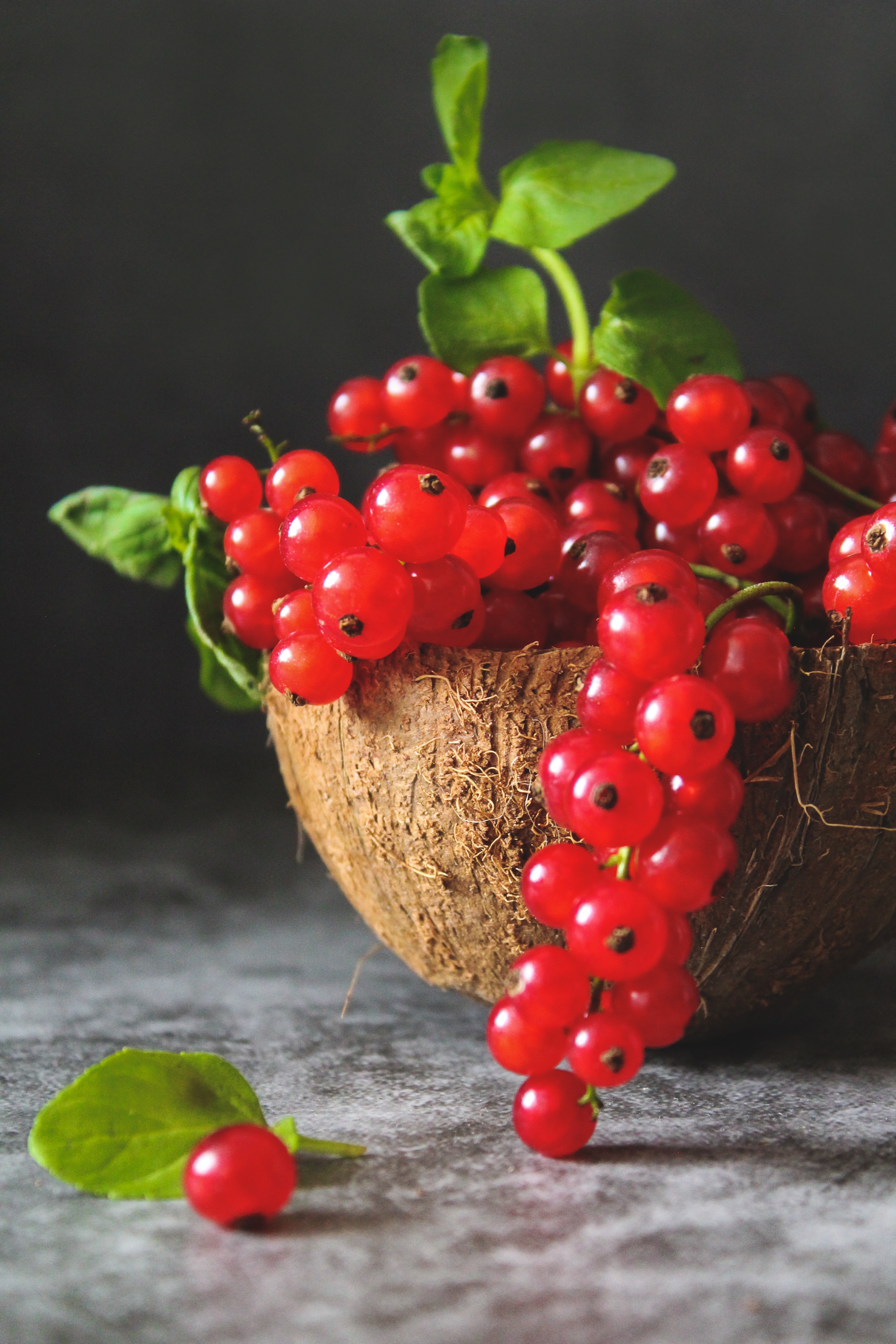 berry, currant, food, leaves, red, fruit HD wallpaper