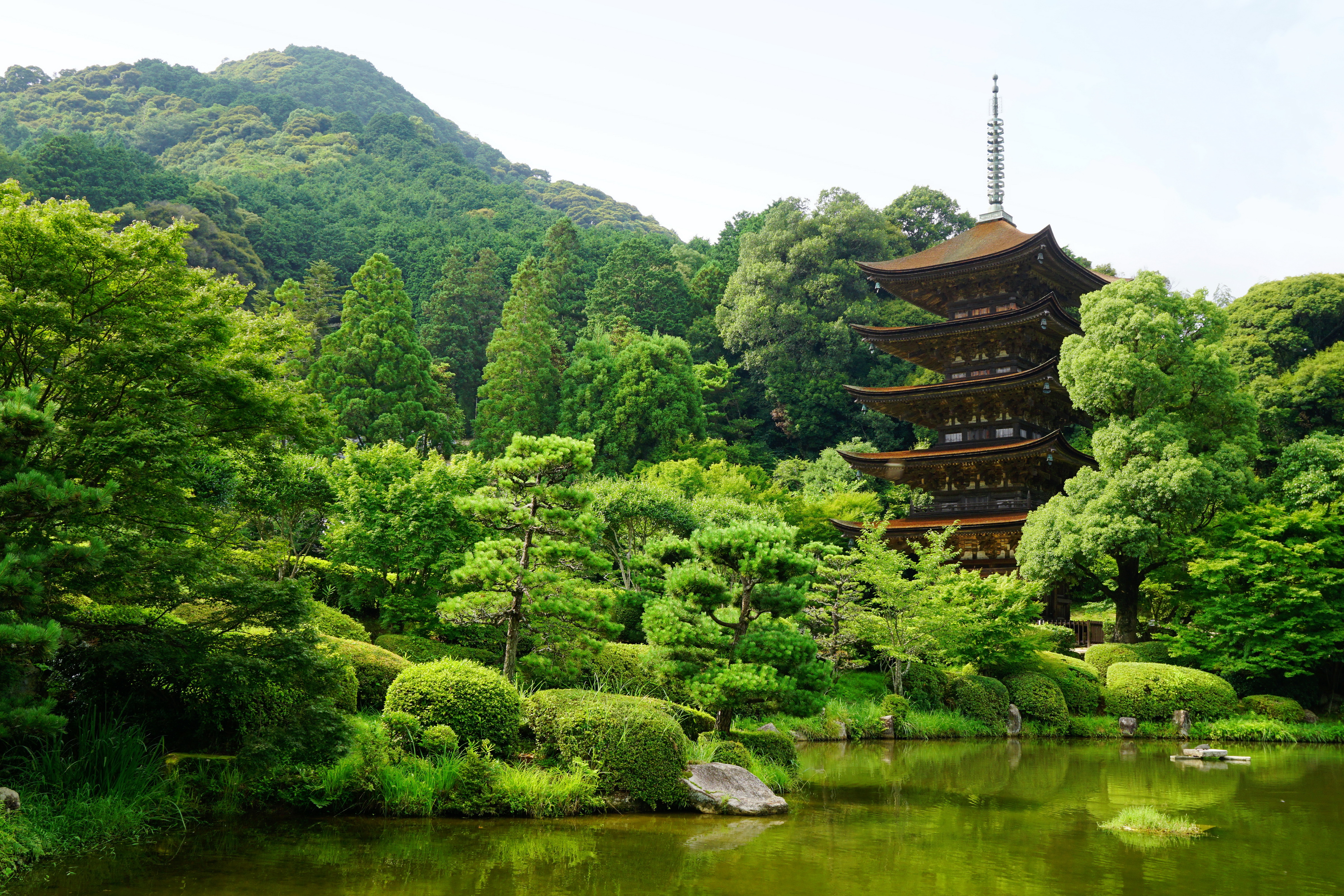 106029 скачать картинку япония, природа, деревья, пруд, ямагучи - обои и заставки бесплатно