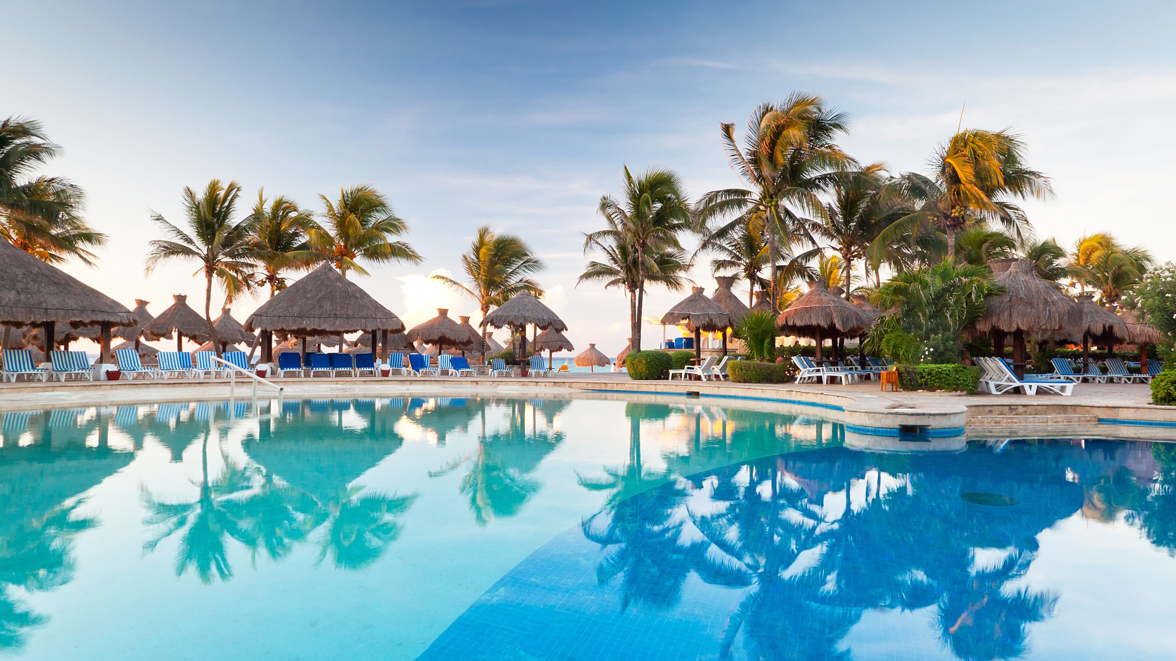 resort, photography, holiday, palm tree, reflection, tropics