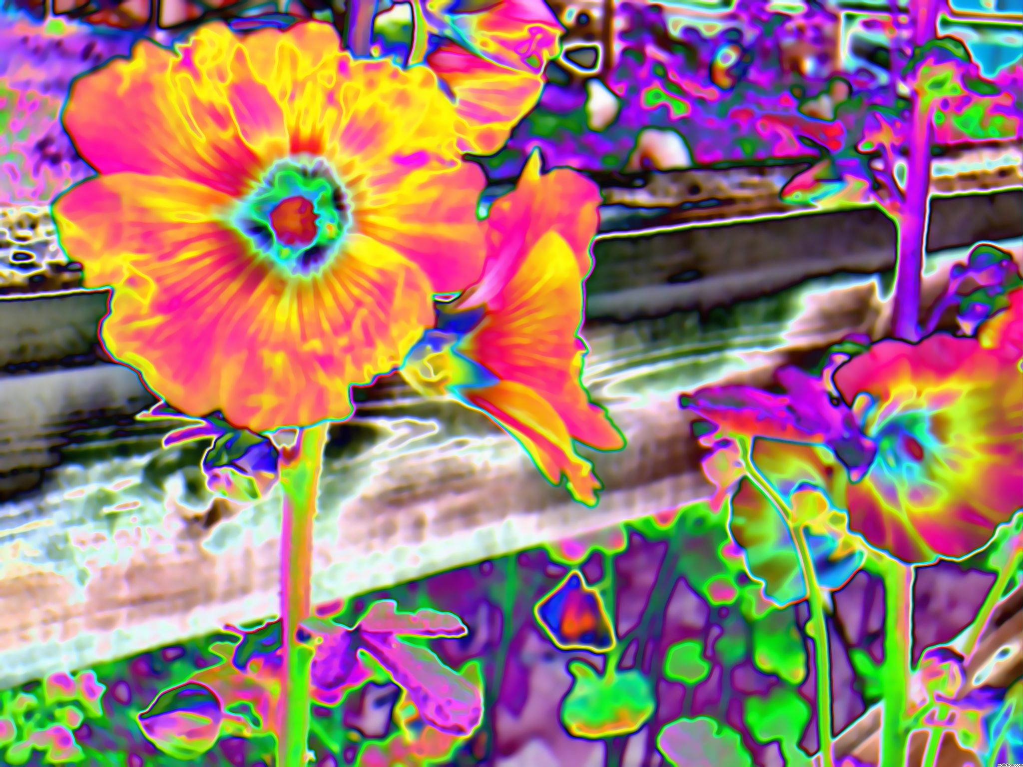 Download mobile wallpaper Psychedelic, Flower, Artistic for free.