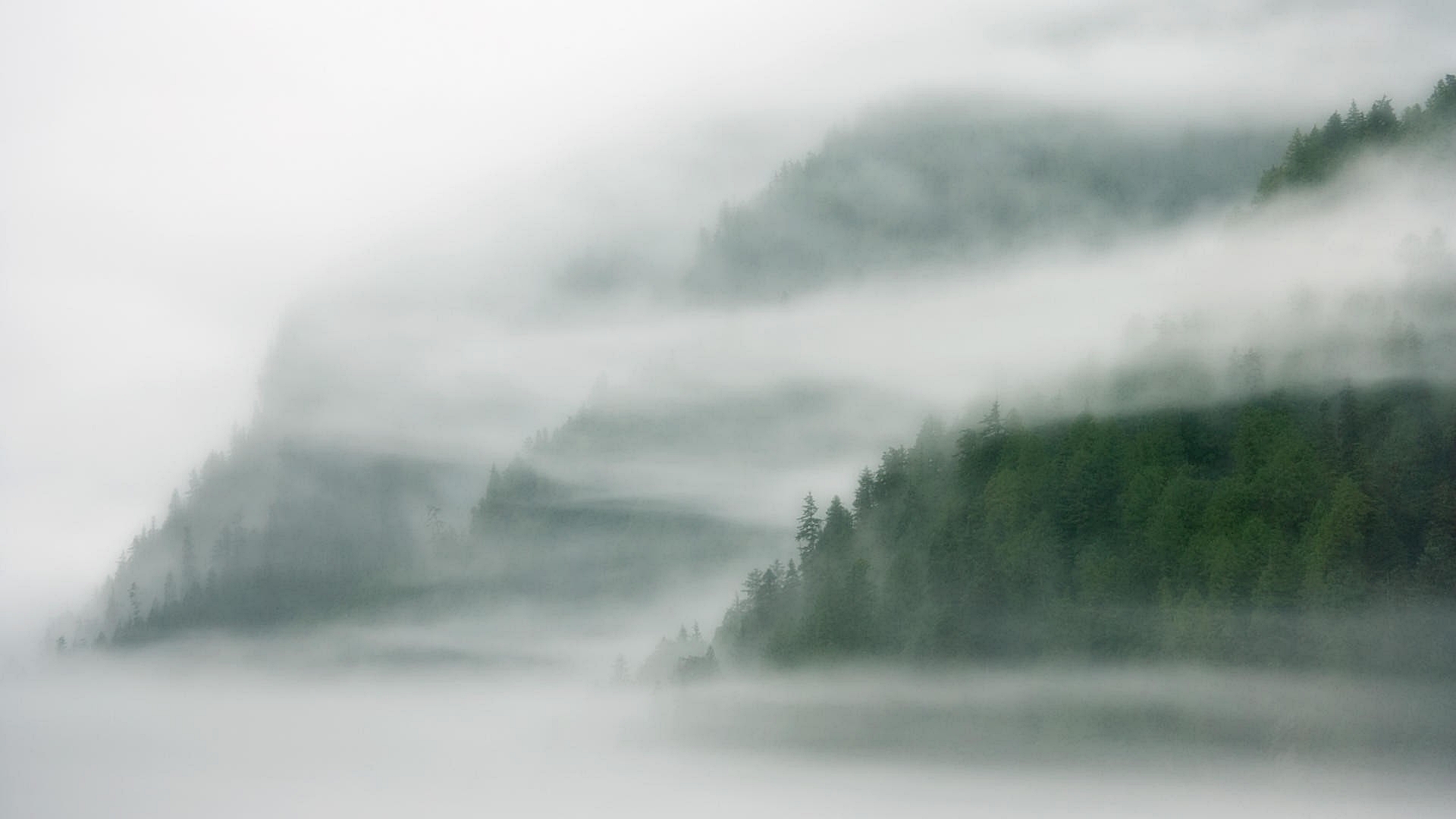 Free download wallpaper Fog, Earth on your PC desktop