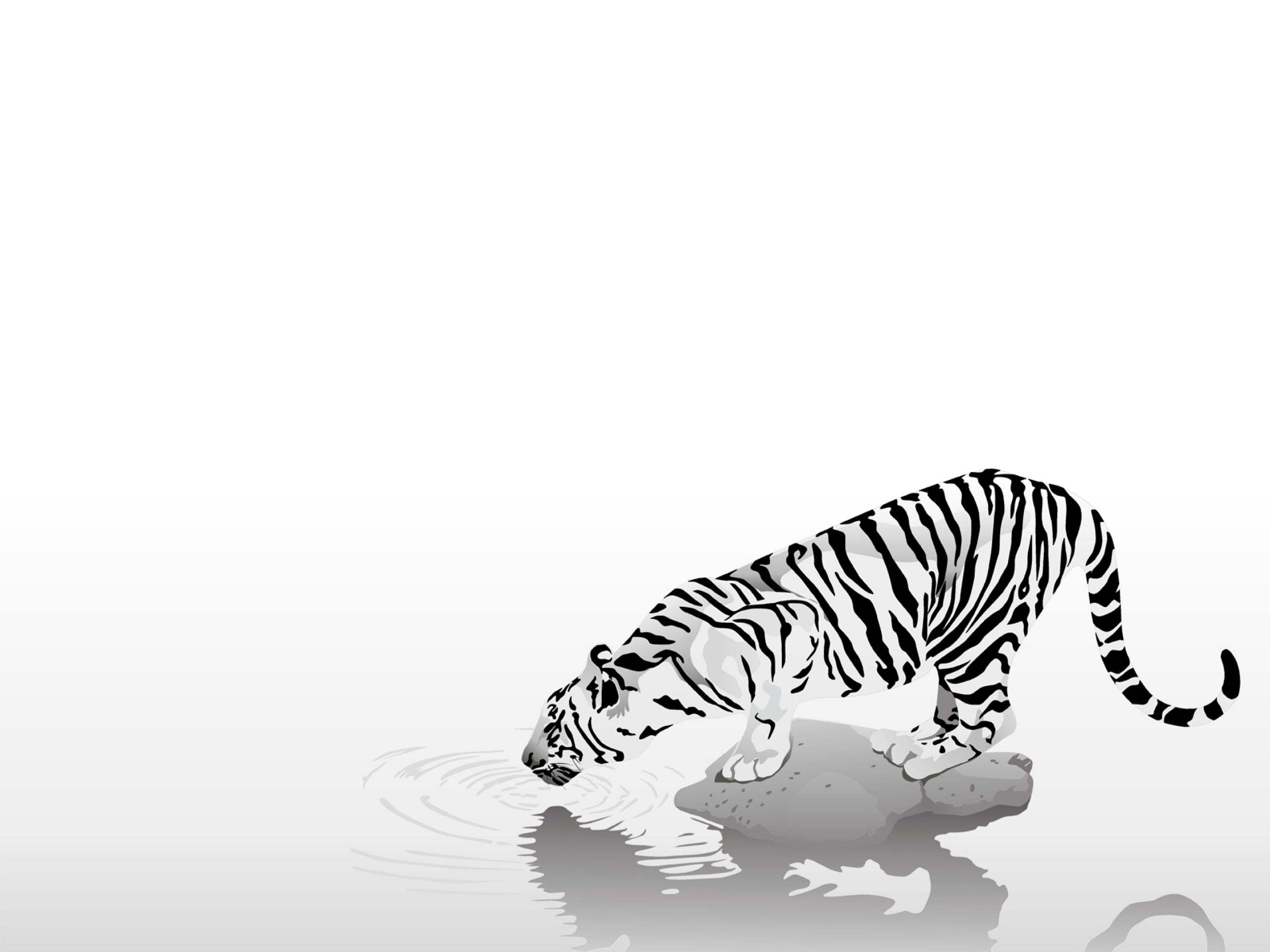 Free download wallpaper Cats, Tiger, Animal on your PC desktop