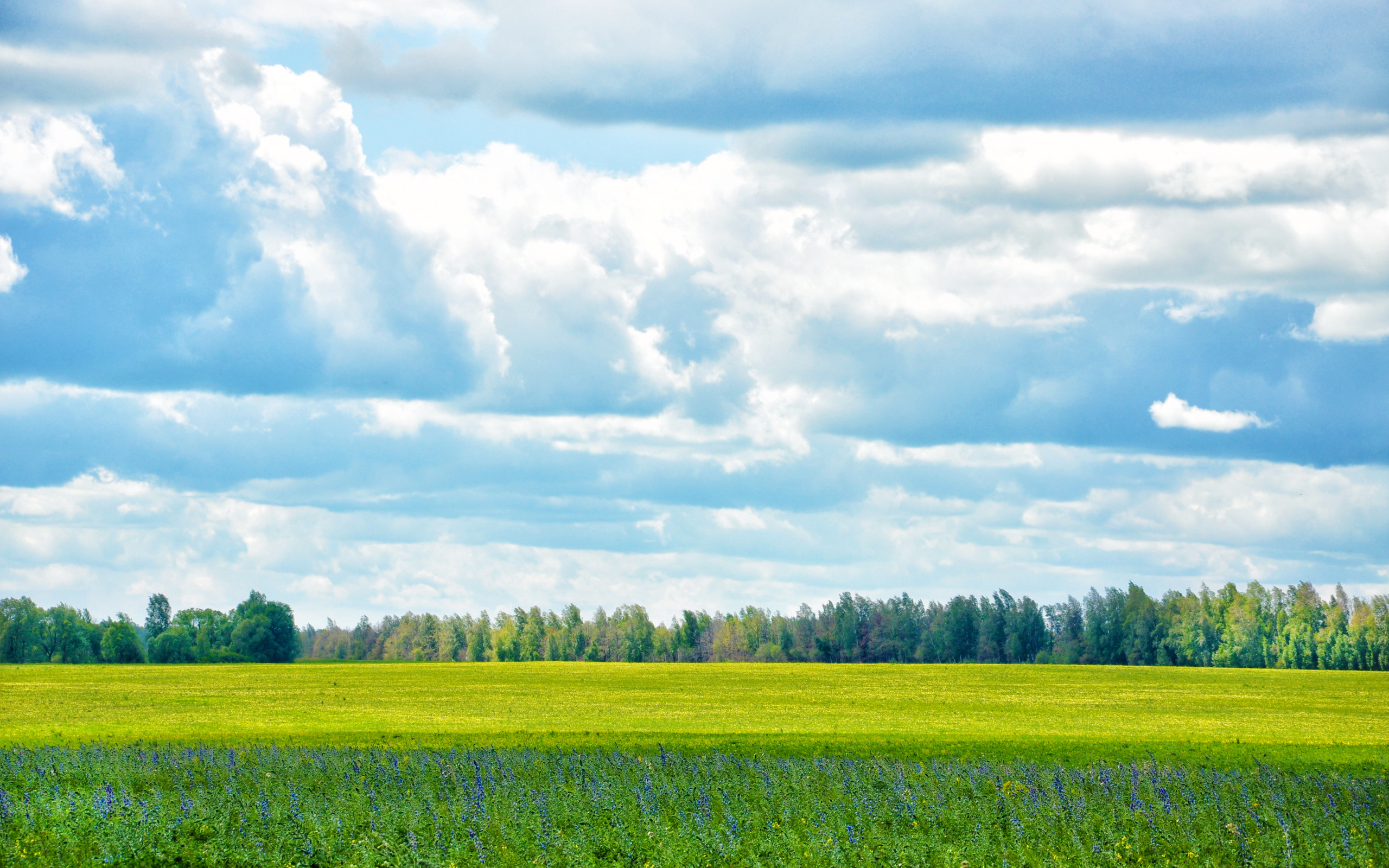 Téléchargez gratuitement l'image Paysage, Terre/nature sur le bureau de votre PC